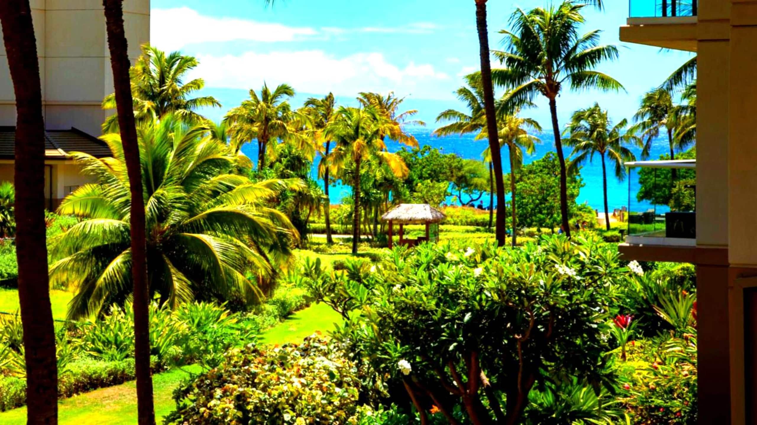 Condo in Lahaina · ★4.89 · 1 bedroom · 2 beds · 1 bath - Image 1
