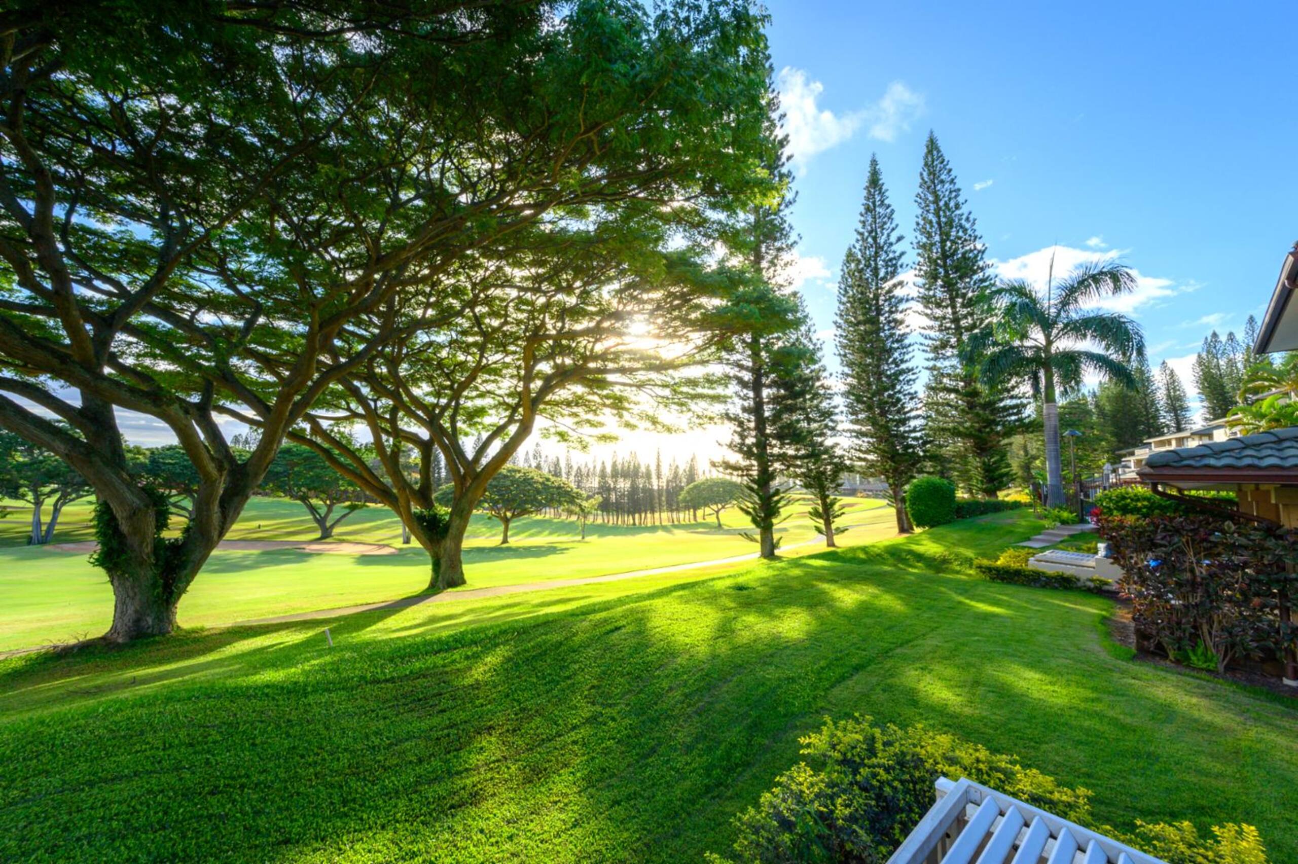 Condo in Lahaina · ★4.67 · 2 bedrooms · 3 beds · 2 baths - Image 44