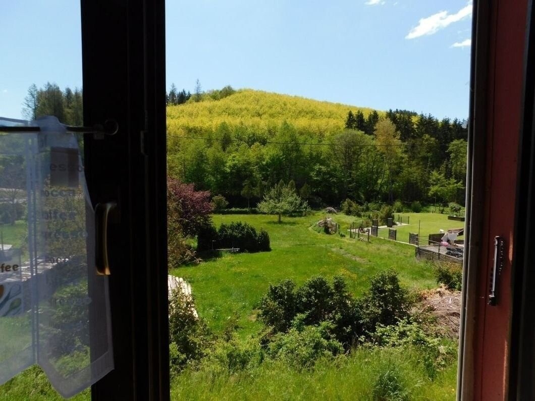 A view from a window reveals lush greenery and a hillside covered in trees. The landscape features a serene garden area with various plants and distant structures, providing a peaceful outdoor environment.