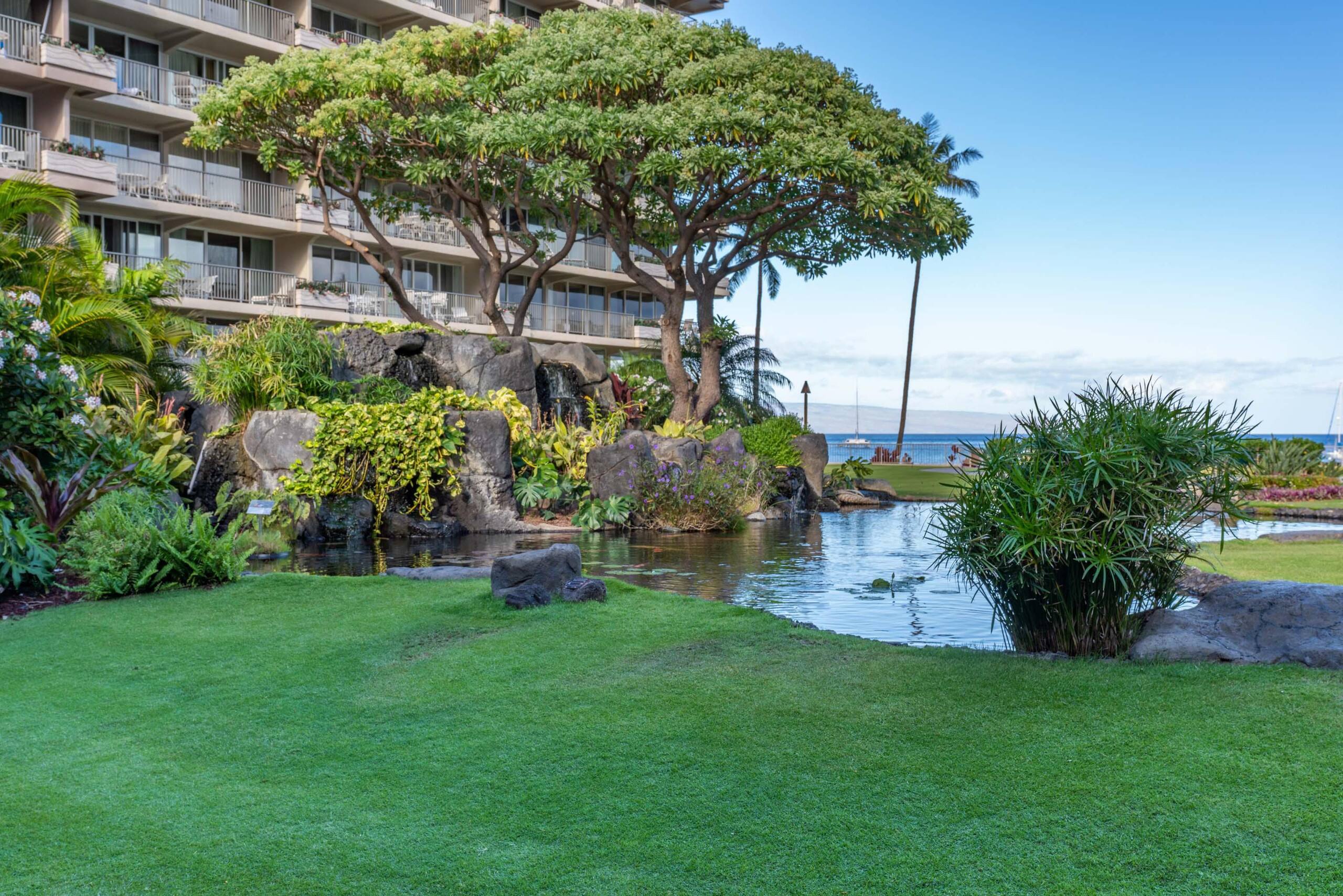 Remodeled Ocean View Studio at The Whaler 518-Kaan - Image 44