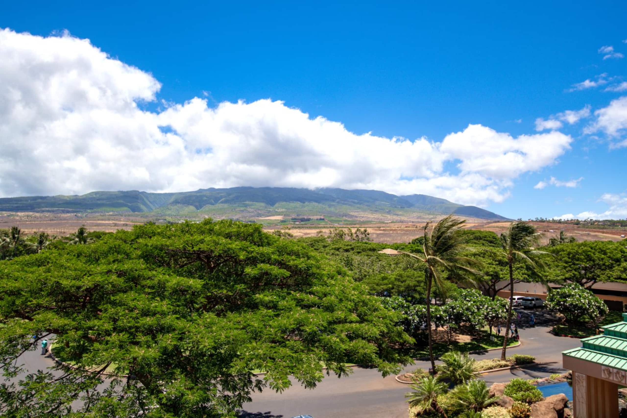 Condo in Lahaina · ★5.0 · 2 bedrooms · 3 beds · 2 baths - Image 1
