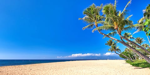 KBM Resorts | FREE CAR Honua Kai Luana HKL-12B