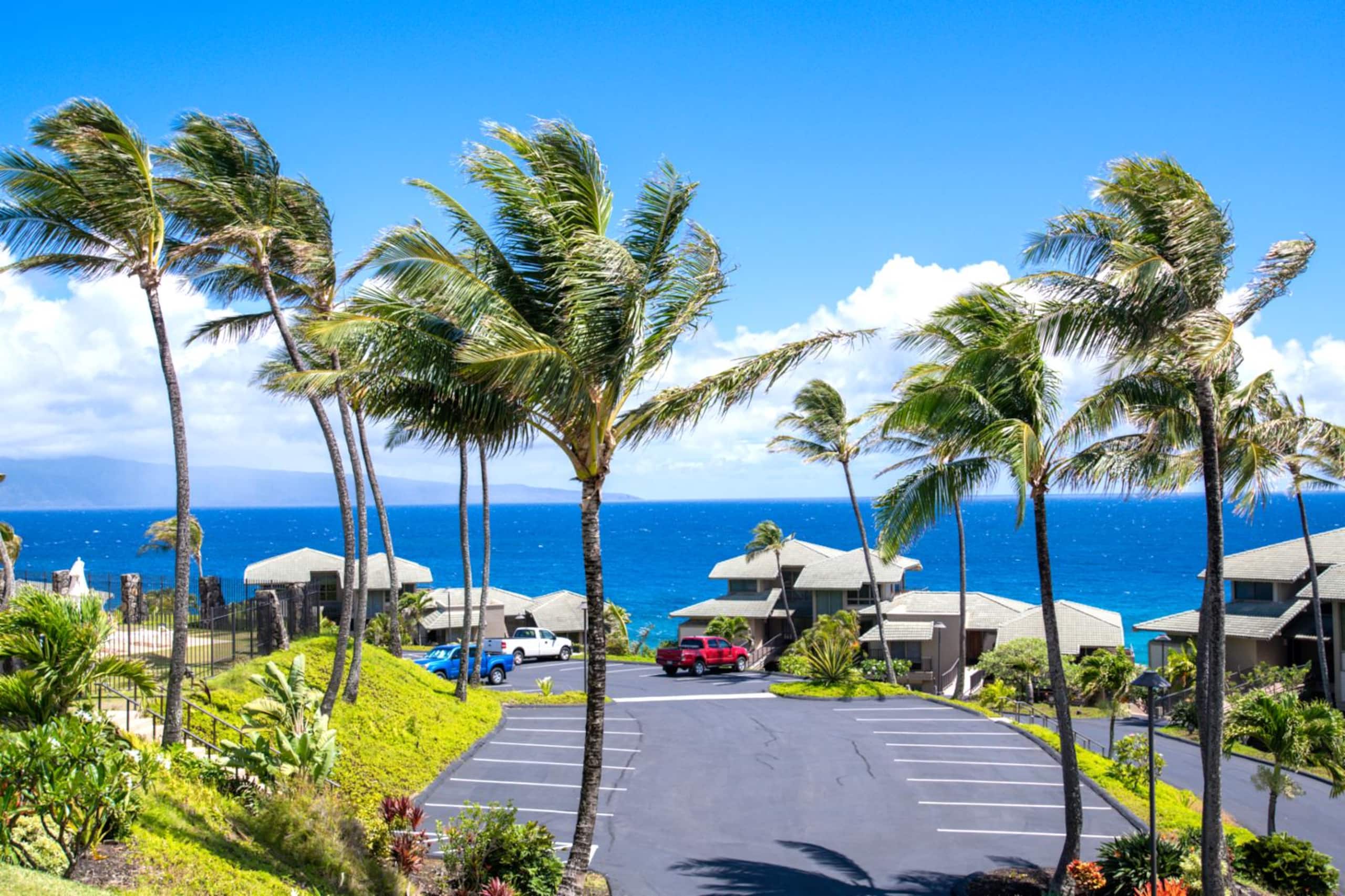 Condo in Lahaina · ★4.67 · 2 bedrooms · 4 beds · 2 baths - Image 1