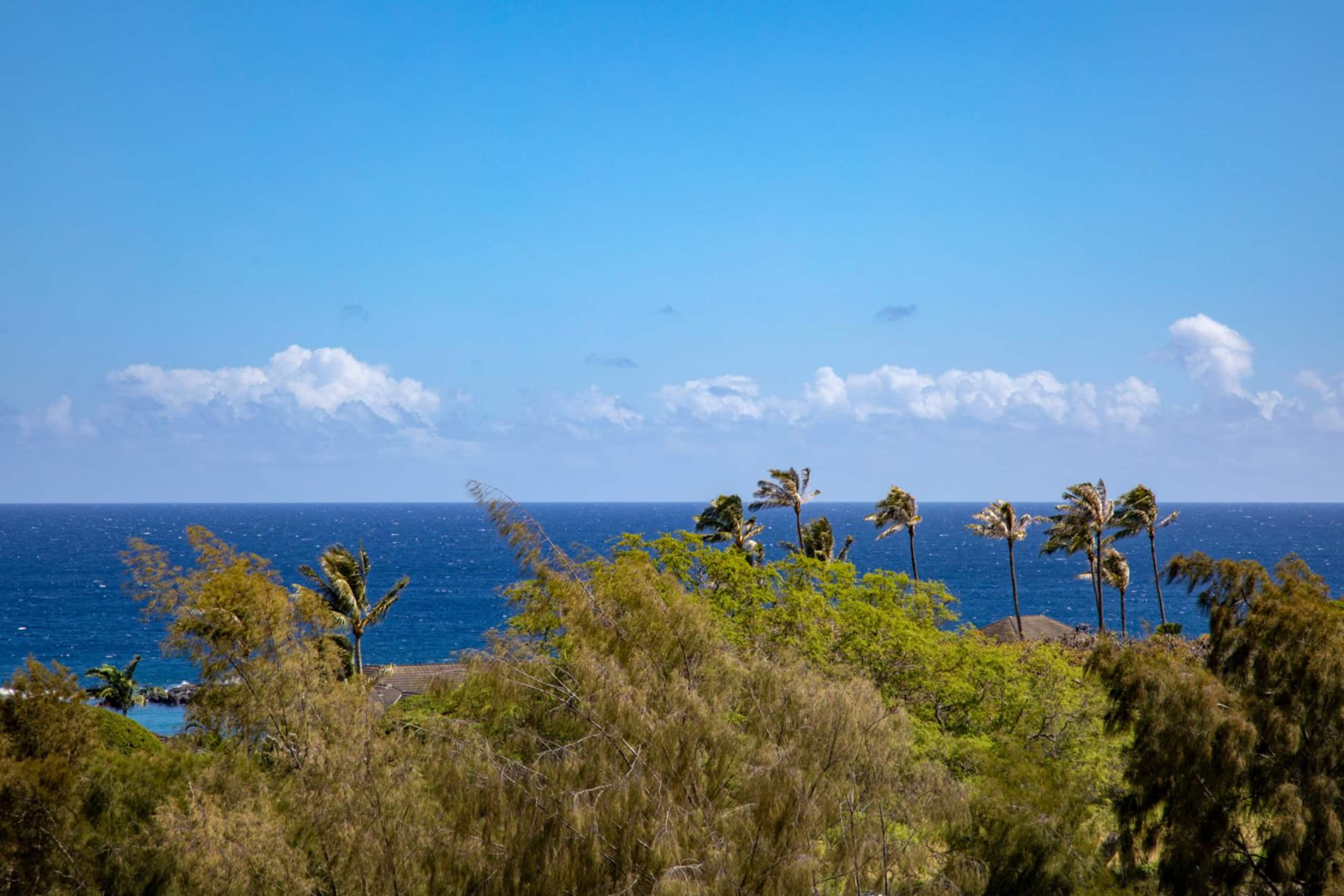 Condo in Lahaina · ★4.73 · 1 bedroom · 1 bed · 2 baths - Image 10