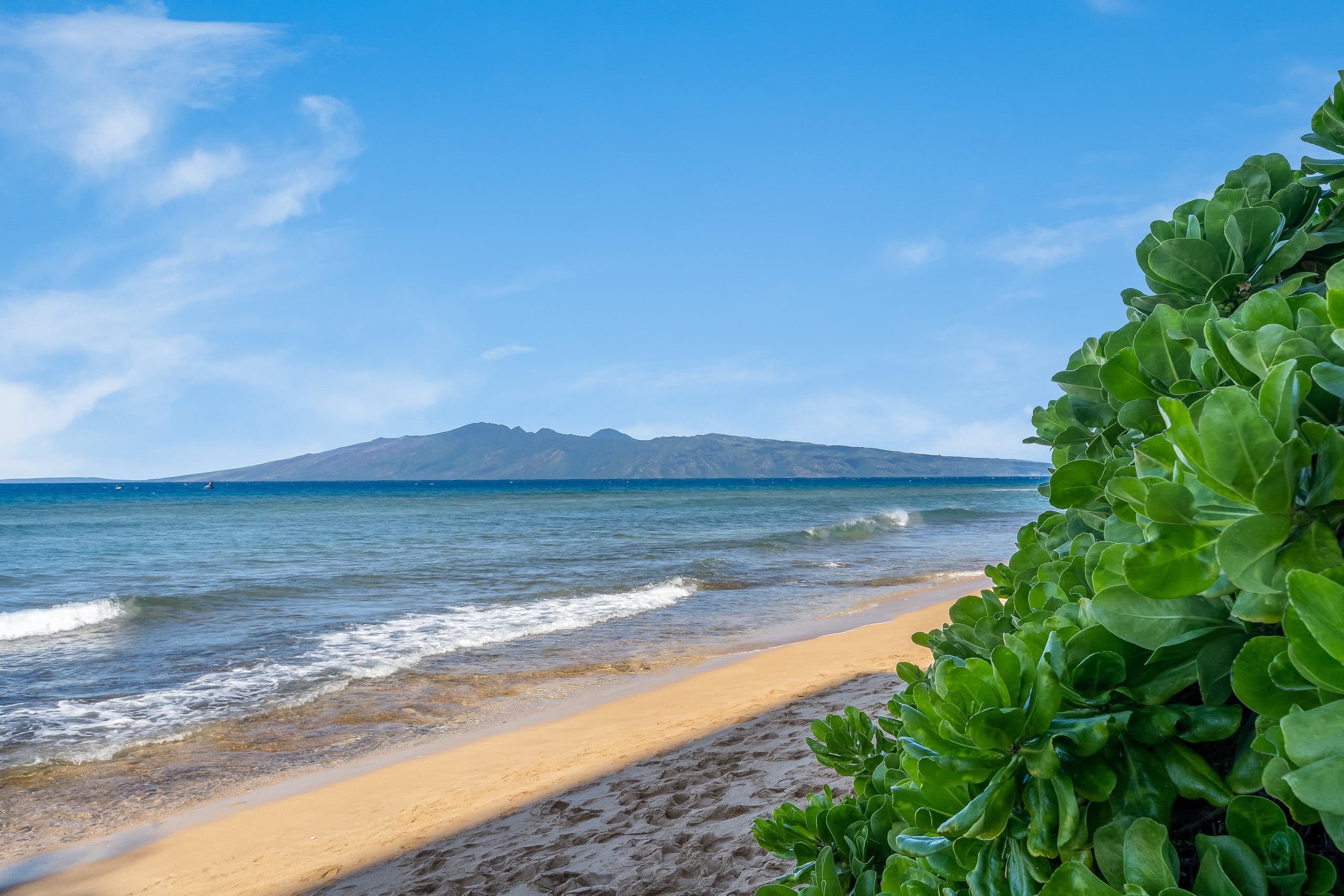 Condo in Lahaina · ★4.89 · 1 bedroom · 2 beds · 2 baths - Image 28