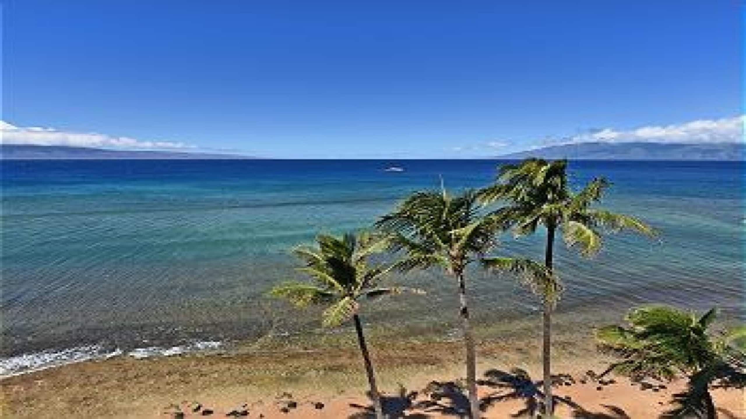 Condo in Lahaina · ★4.89 · 1 bedroom · 2 beds · 2 baths - Image 29