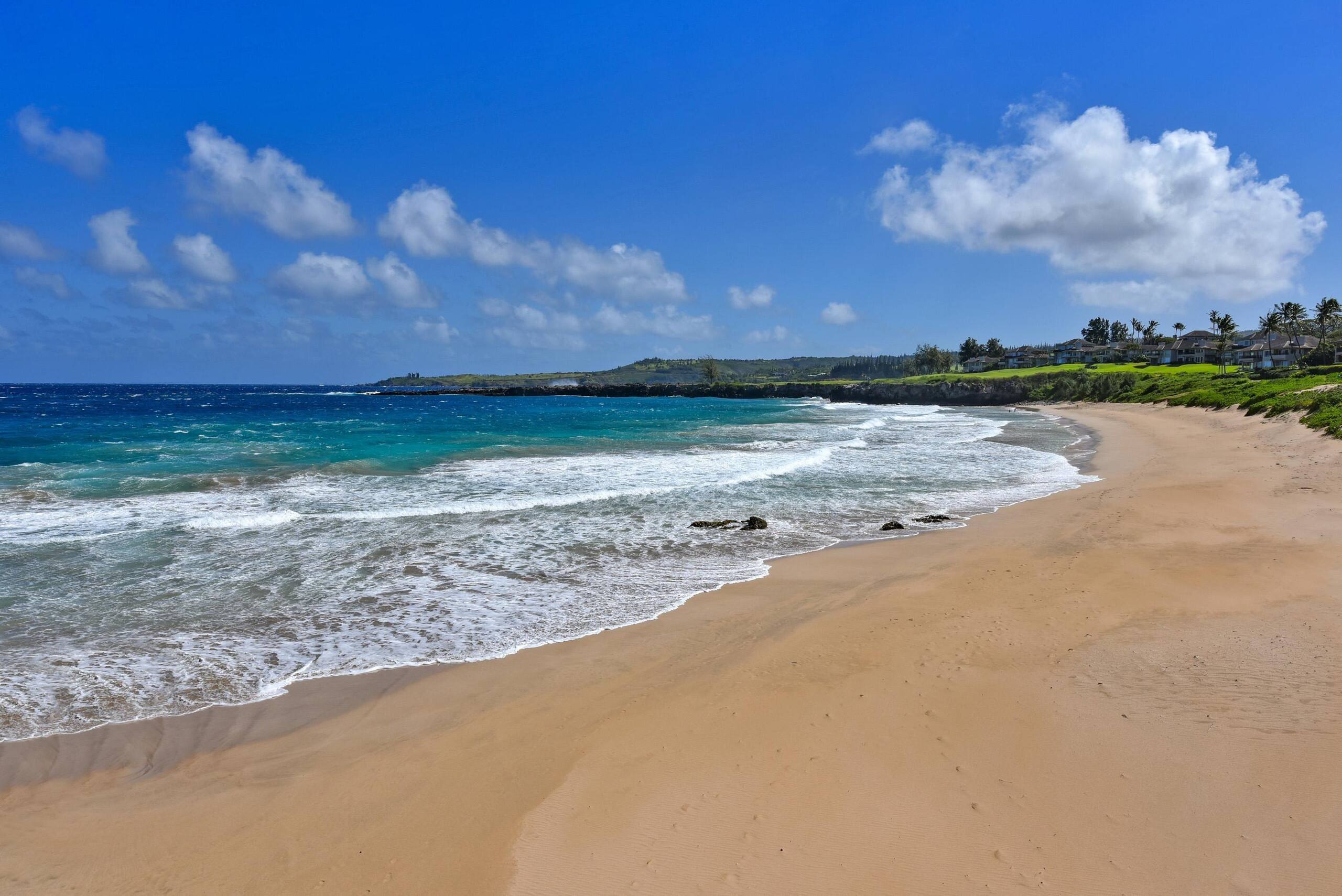 Villa in Lahaina · ★4.86 · 1 bedroom · 2 beds · 1 bath - Image 45
