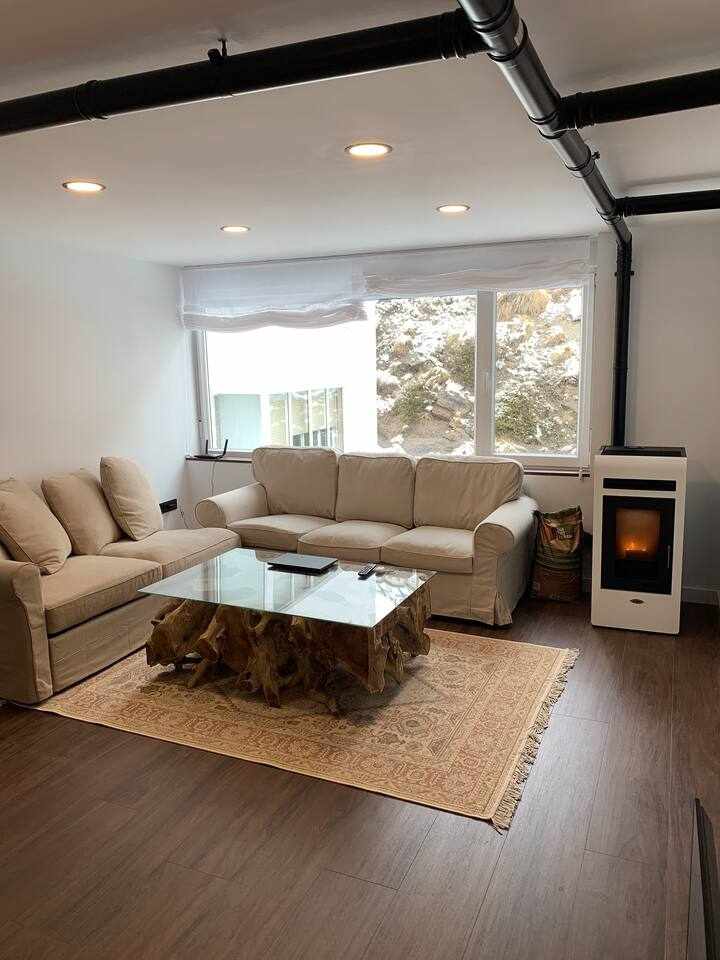 A comfortable seating area is presented with a light-colored sofa facing a modern glass coffee table. Natural light filters through large windows, showcasing outdoor scenery. A pellet stove stands beside the seating, adding warmth to the space, accented by a decorative area rug.