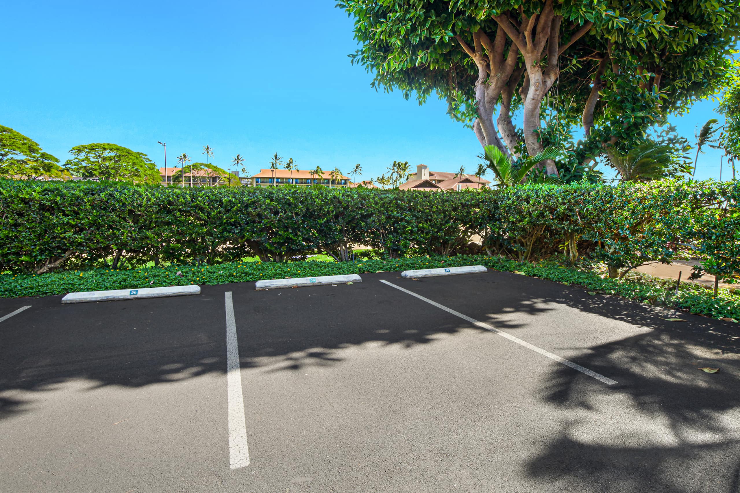 Condo in Koloa · ★4.77 · 2 bedrooms · 3 beds · 3 baths - Image 25
