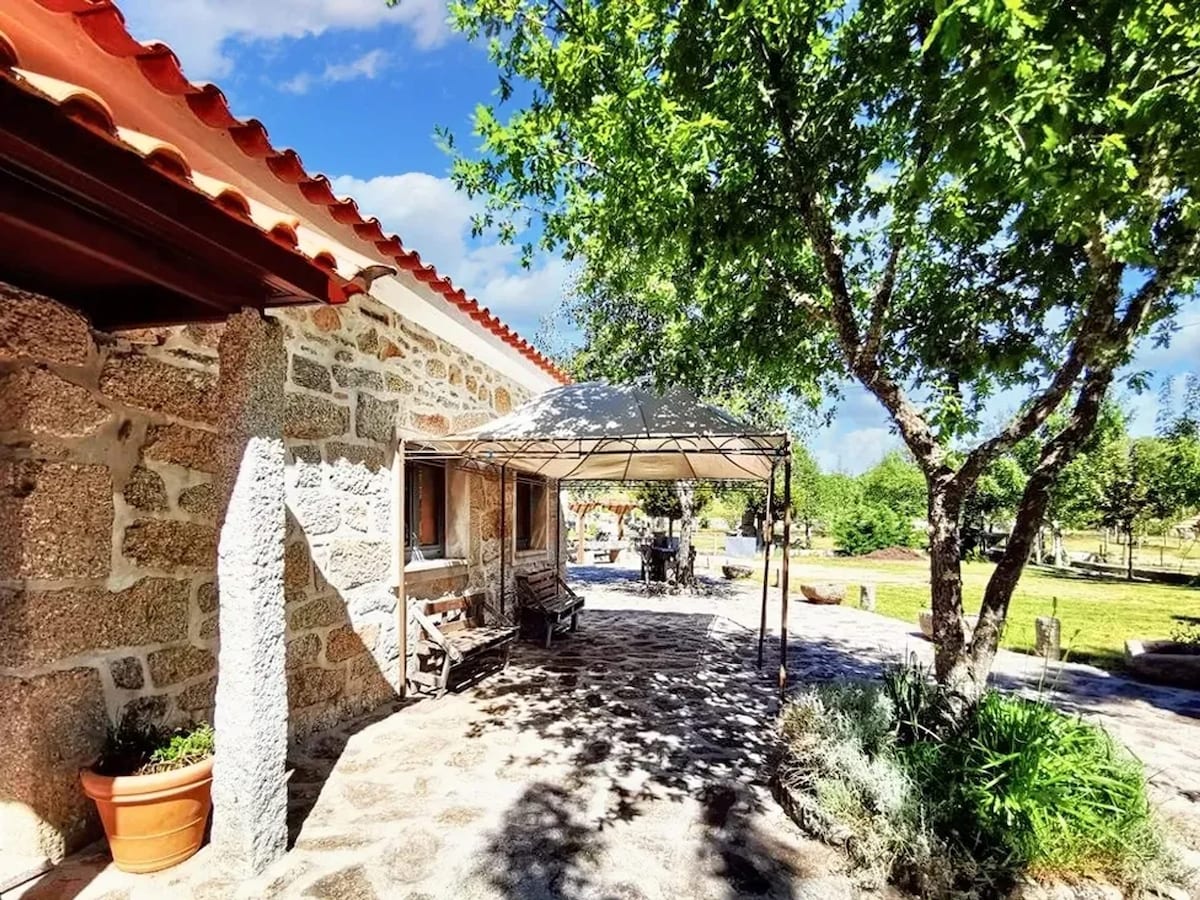 A shaded outdoor area features a stone pathway leading to a covered seating arrangement under a tent. Surrounding greenery and a large tree enhance the serene atmosphere, creating an ideal space for relaxation and outdoor meals.