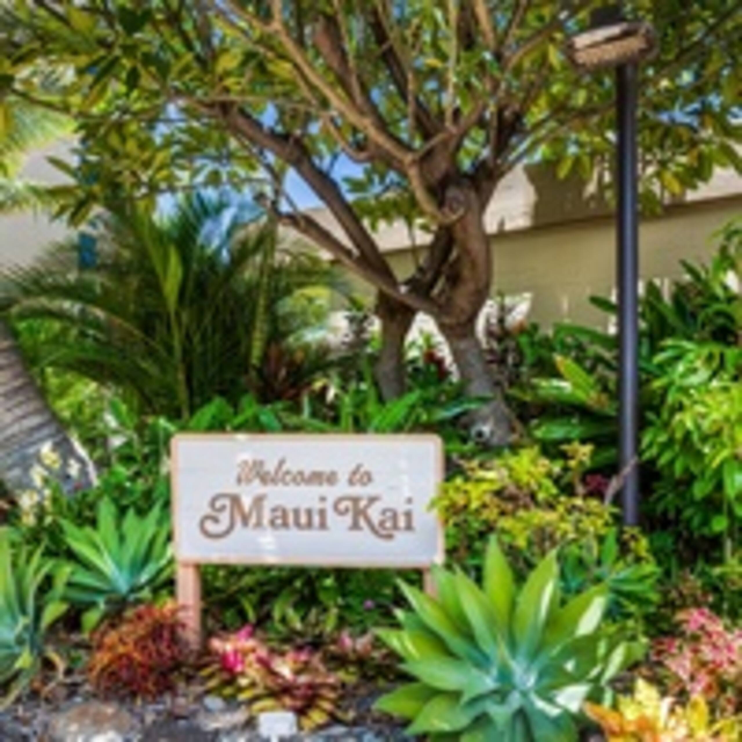 Condo in Lahaina · ★5.0 · 1 bedroom · 1 bed · 1 bath - Image 28