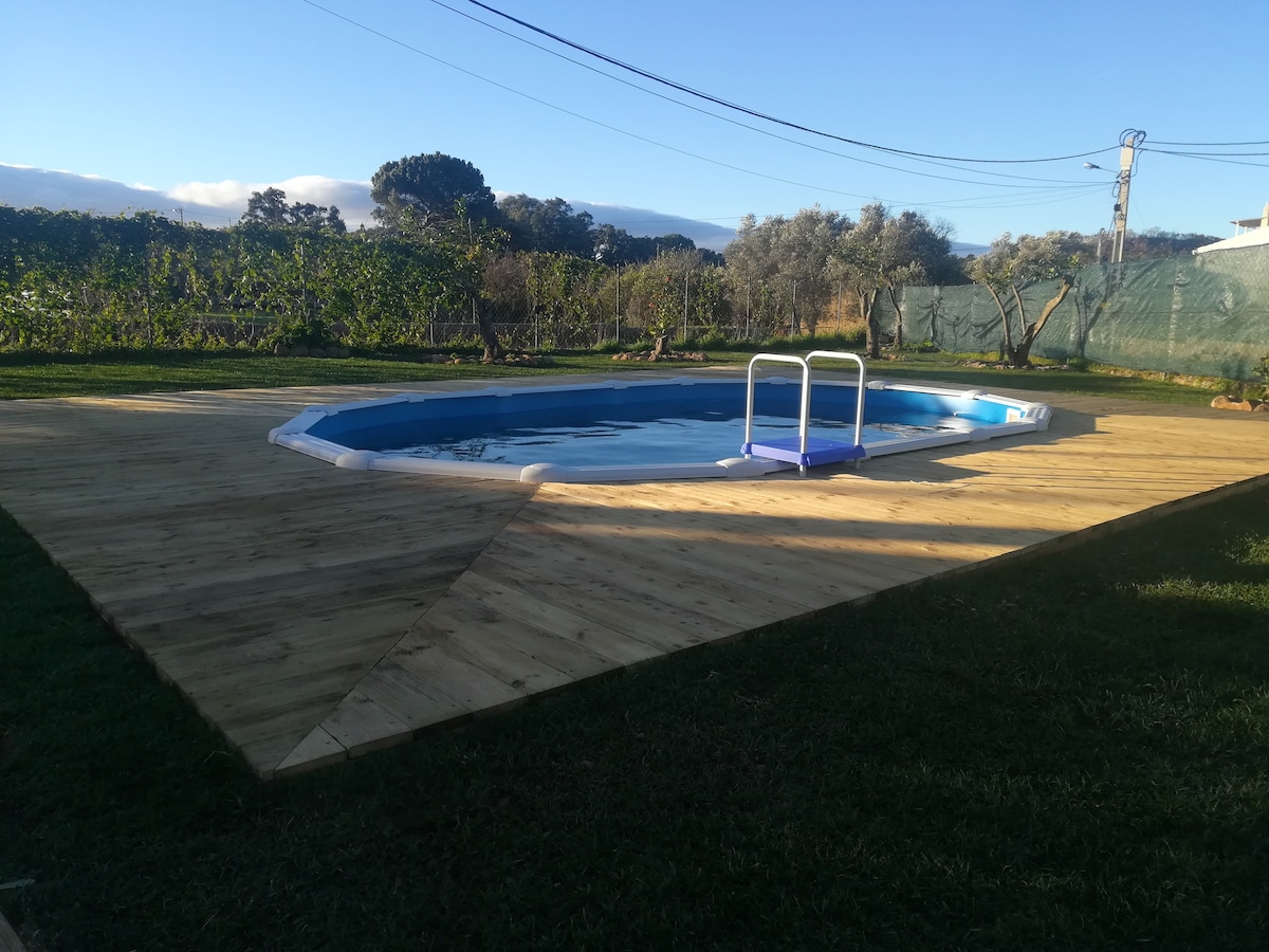A shared pool is surrounded by a wooden deck, providing a spacious area for relaxation. Lush greenery and olive trees can be seen in the background, contributing to a serene environment. The pool features steps for easy access, inviting moments of refreshment.