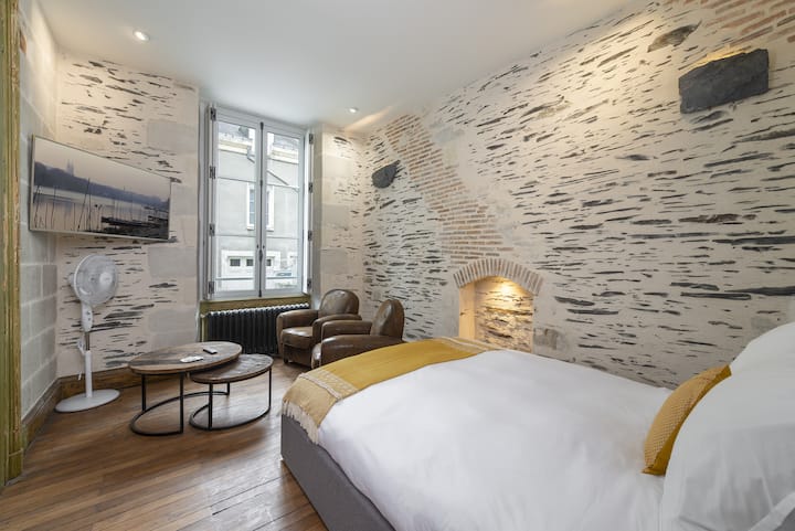 Appartement Spacieux Et Charmant En Coeur De Ville - Angers