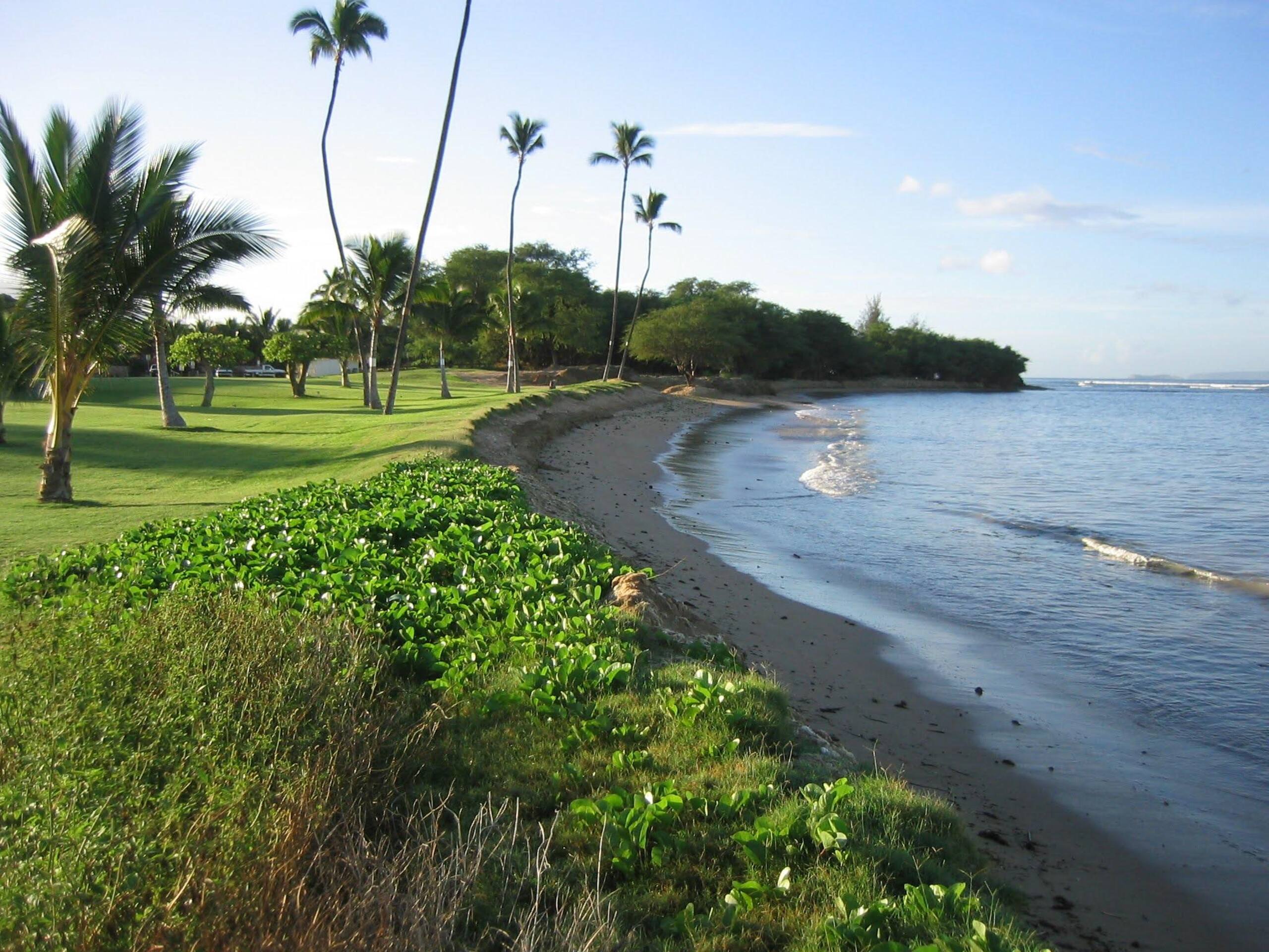 Condo in Kihei · ★4.9 · 2 bedrooms · 5 beds · 2 private baths - Image 38