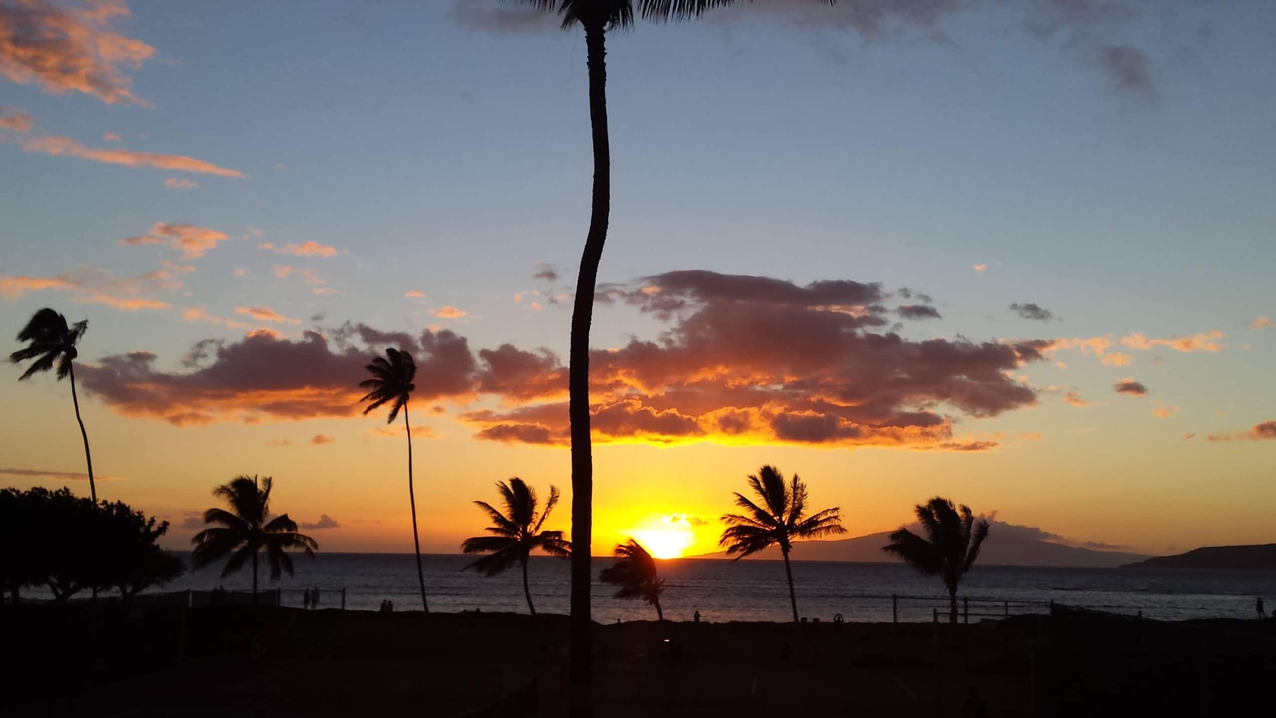 Condo in Kihei · ★4.9 · 2 bedrooms · 5 beds · 2 private baths - Image 48