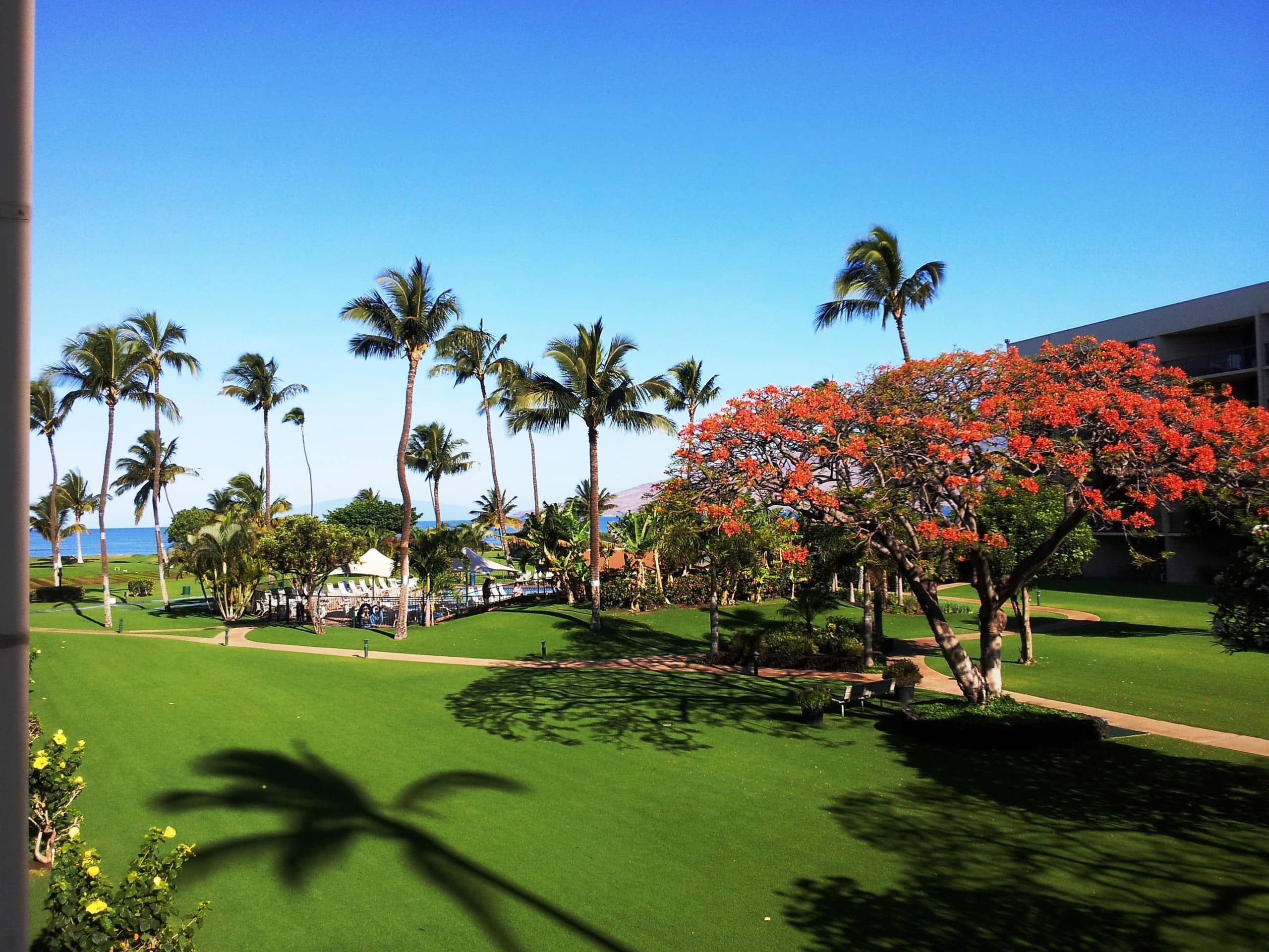 Condo in Kihei · ★4.9 · 2 bedrooms · 5 beds · 2 private baths - Image 22