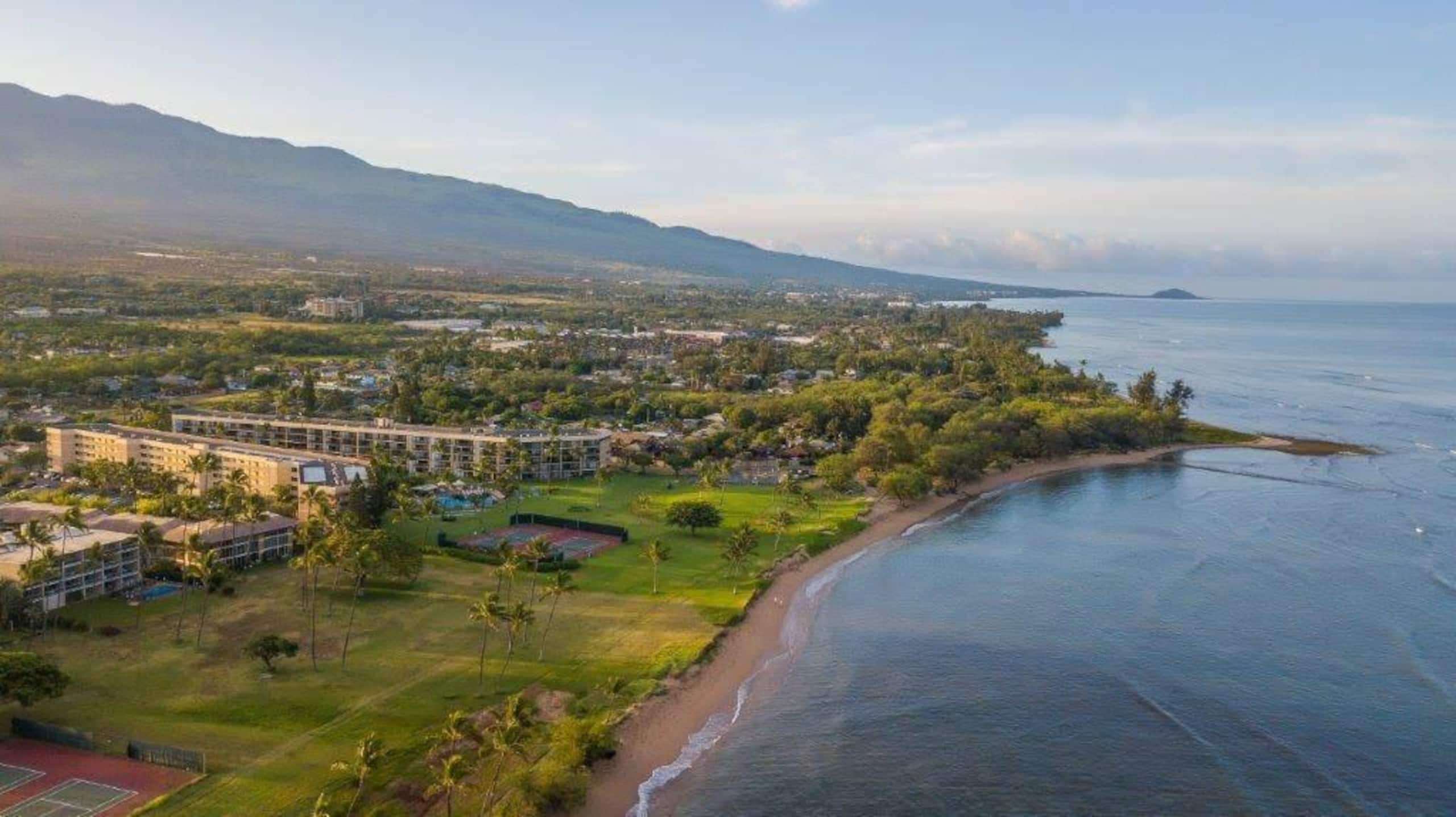 Condo in Kihei · ★4.9 · 2 bedrooms · 5 beds · 2 private baths - Image 40