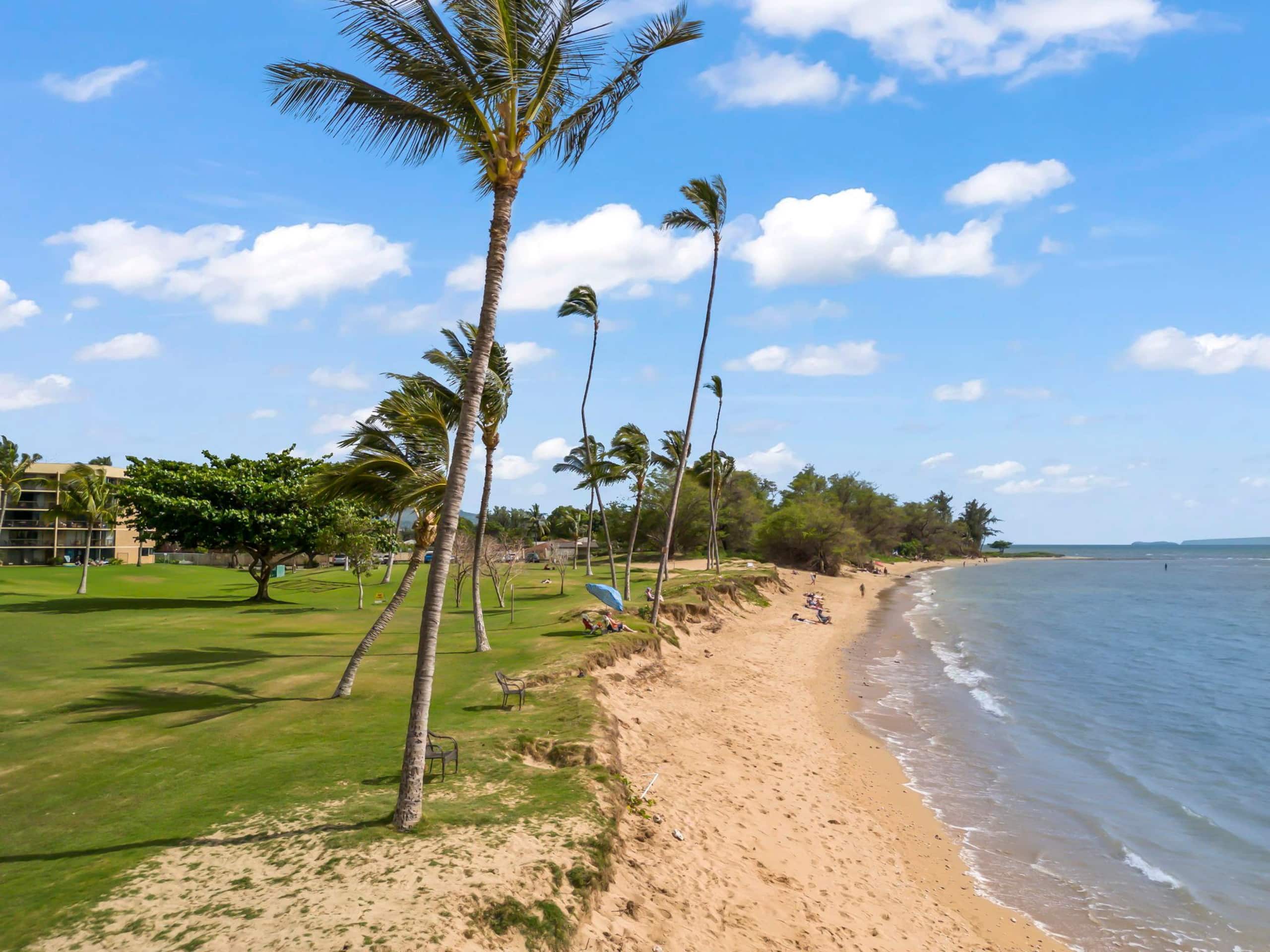 Condo in Kihei · ★4.75 · 2 bedrooms · 5 beds · 2 private baths - Image 60
