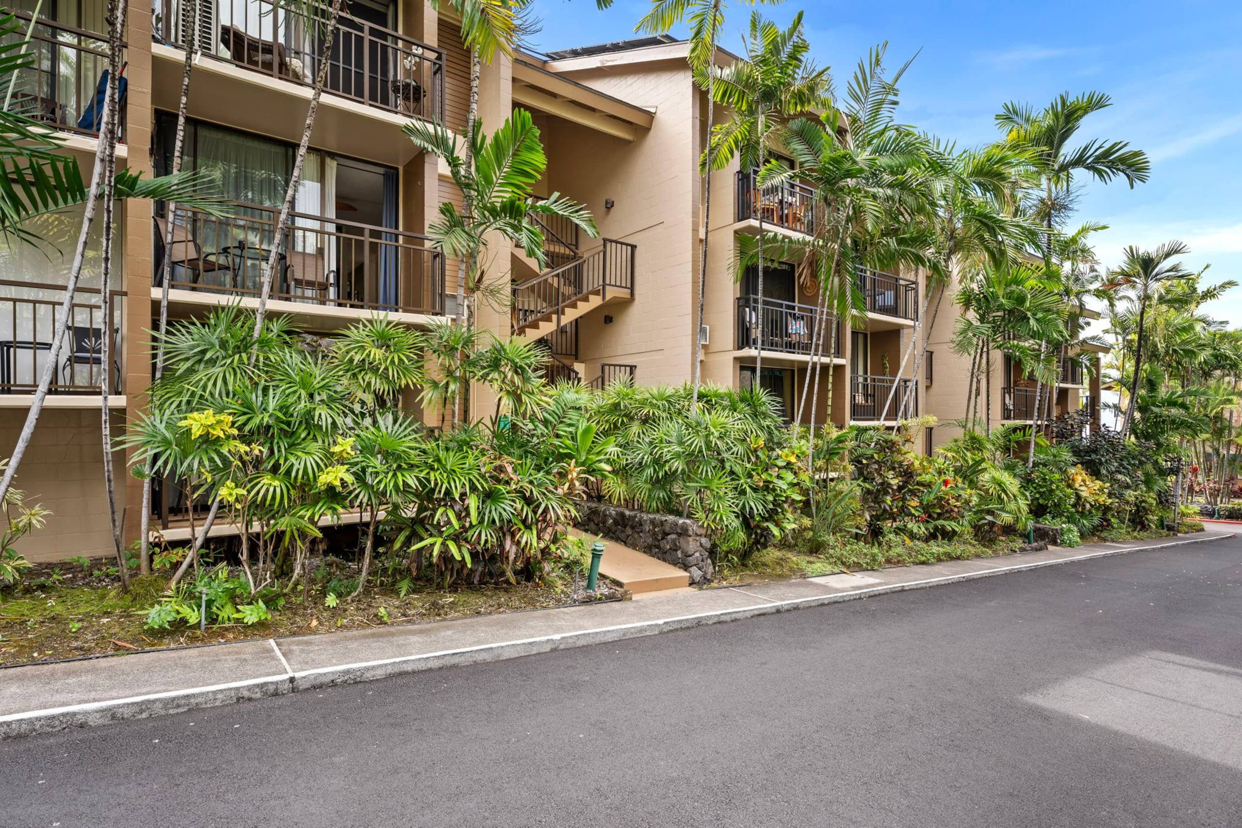 Condo in Kailua-Kona · ★5.0 · 1 bedroom · 1 bed · 1 bath - Image 38