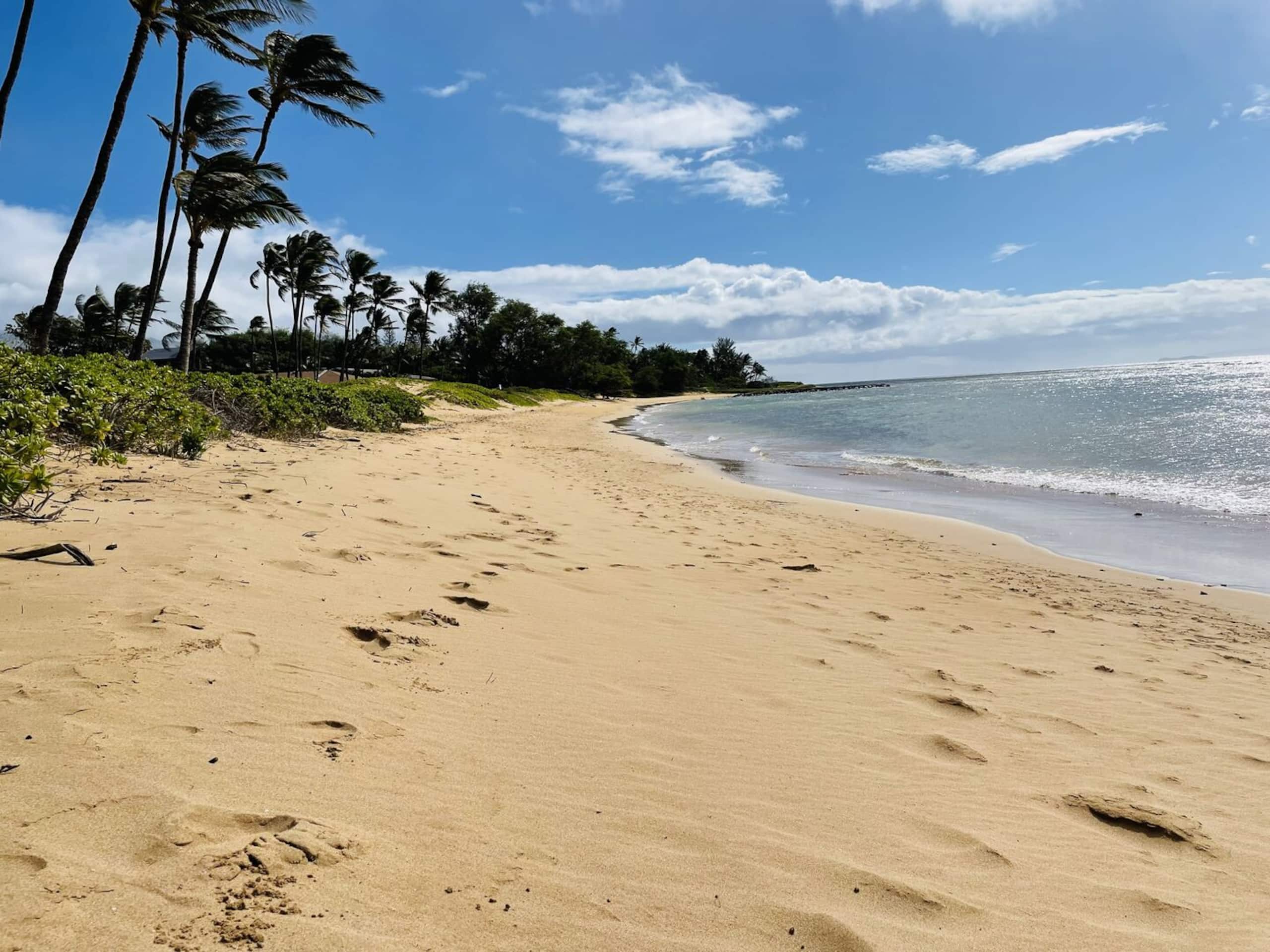 Condo in Kihei · ★5.0 · 1 bedroom · 1 bed · 1 bath - Image 17