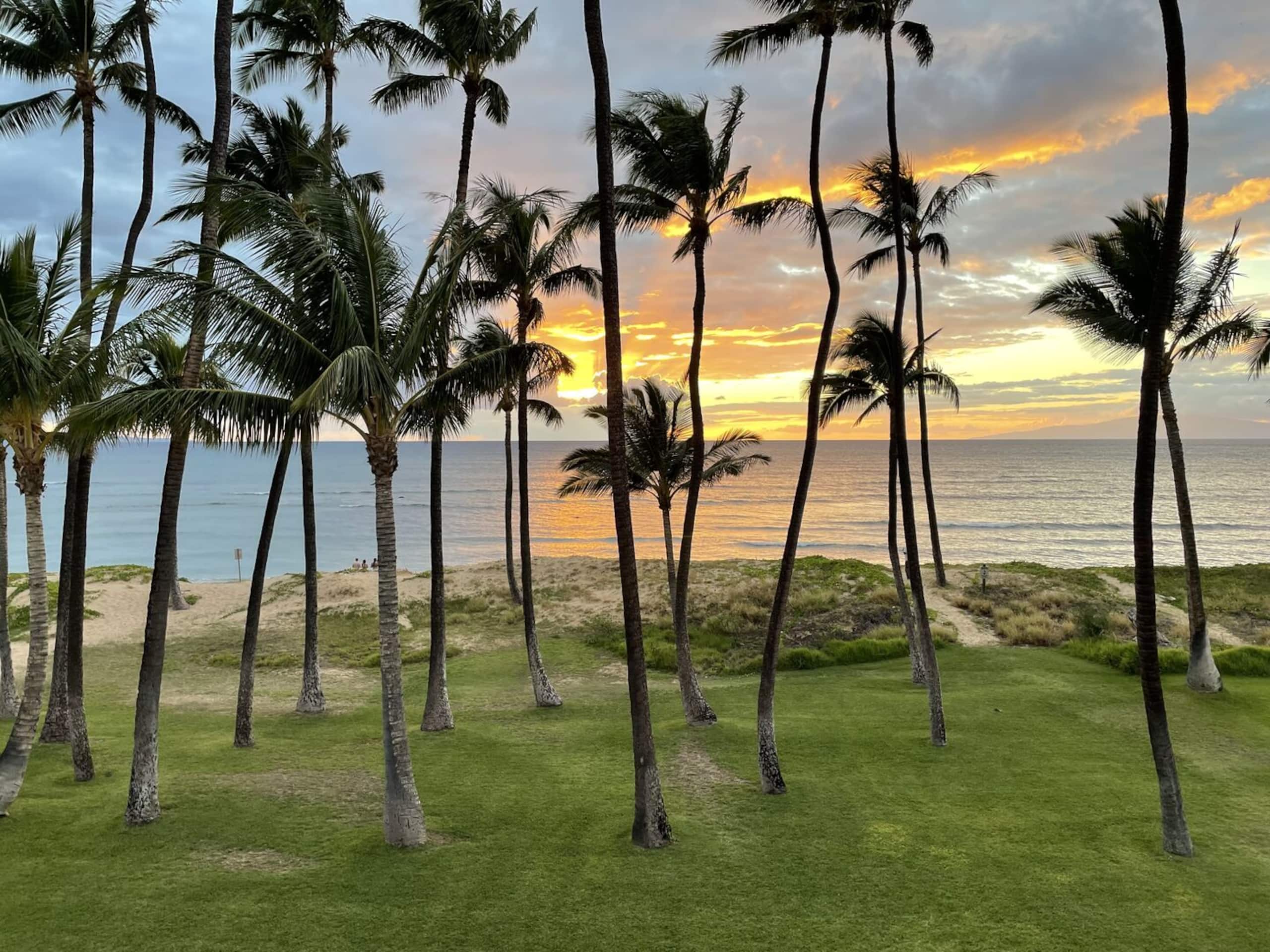 Condo in Kihei · ★5.0 · 1 bedroom · 1 bed · 1 bath - Image 19