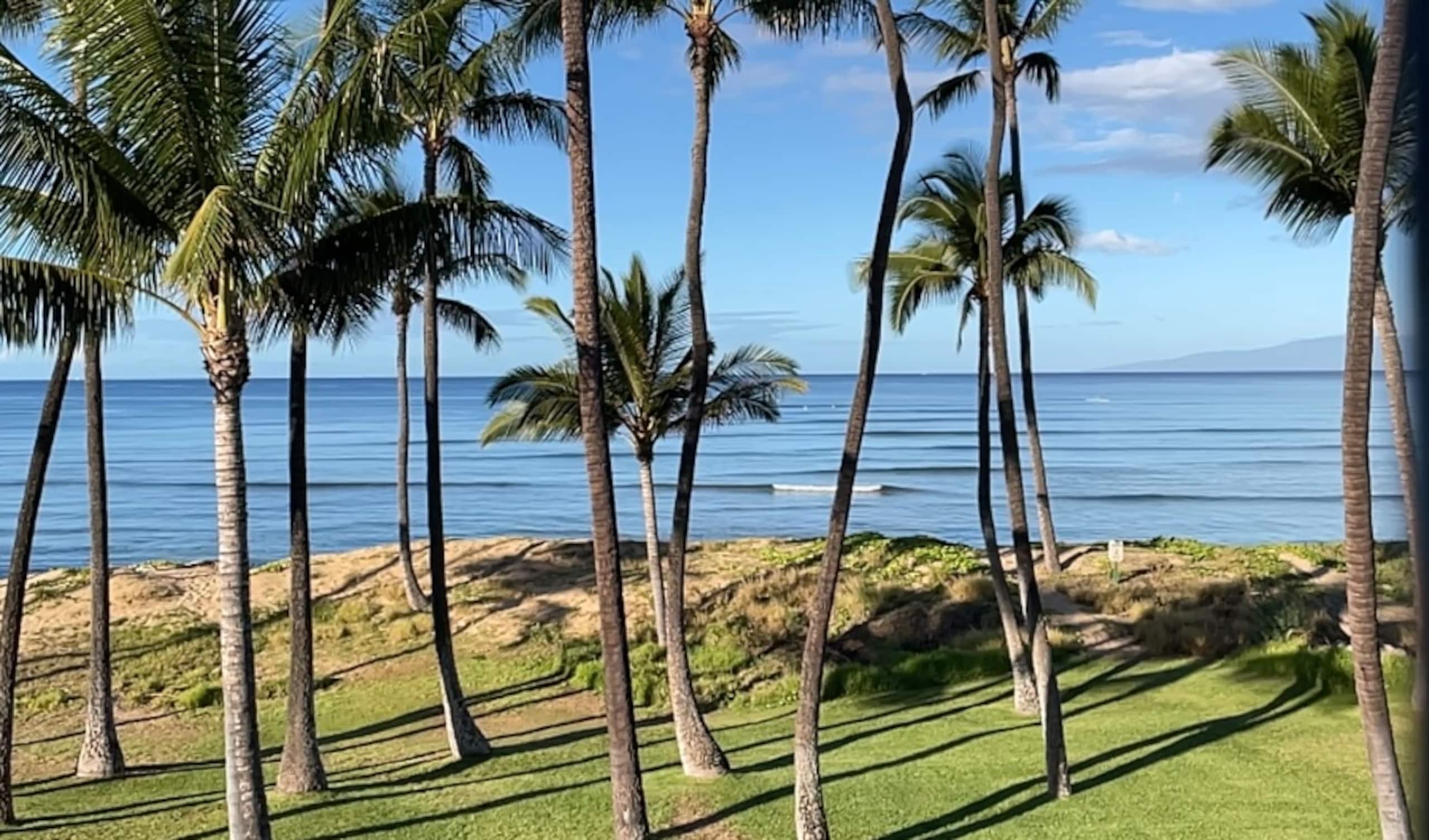 Condo in Kihei · ★5.0 · 1 bedroom · 1 bed · 1 bath - Image 24