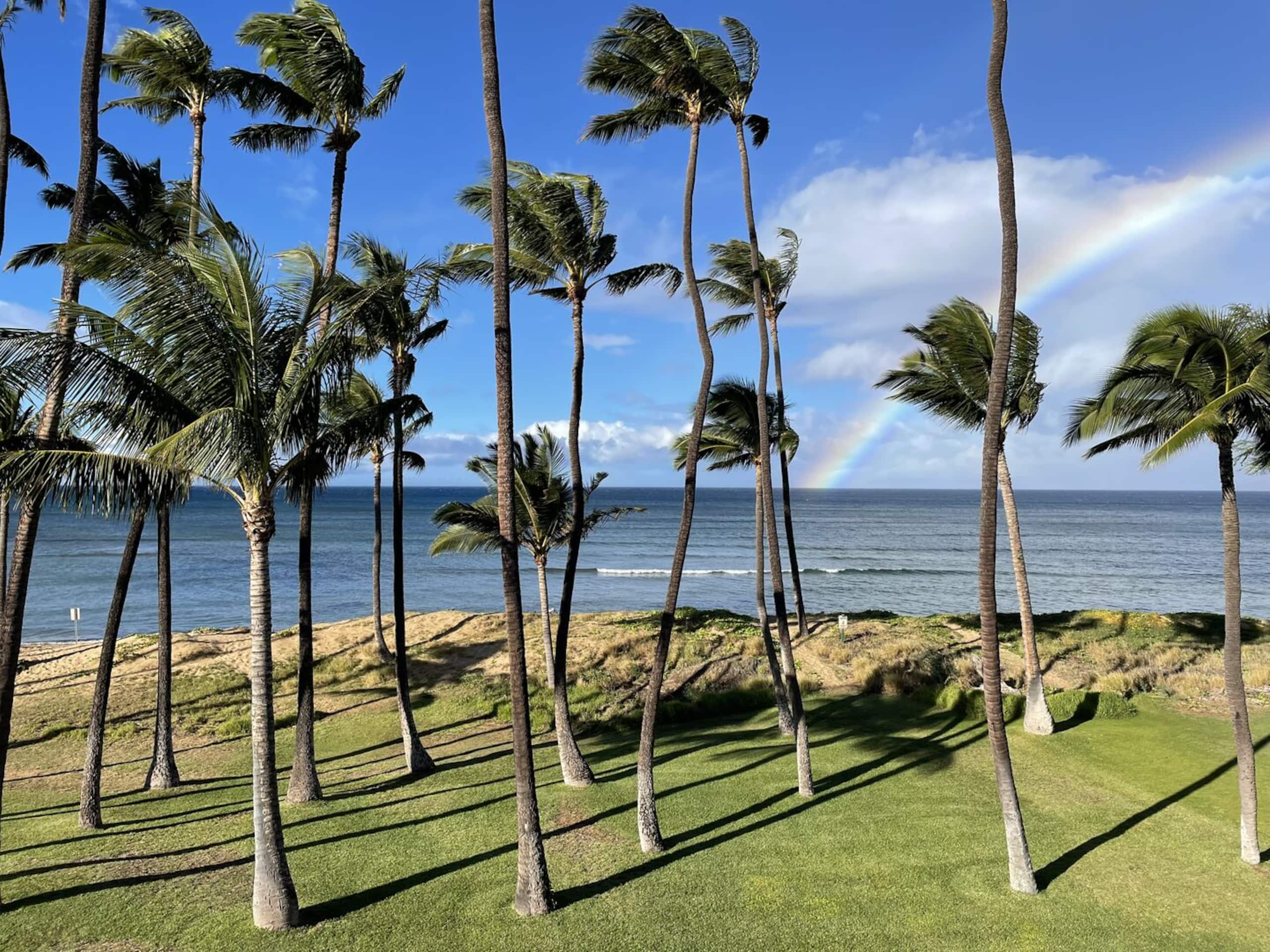 Condo in Kihei · ★5.0 · 1 bedroom · 1 bed · 1 bath - Image 10