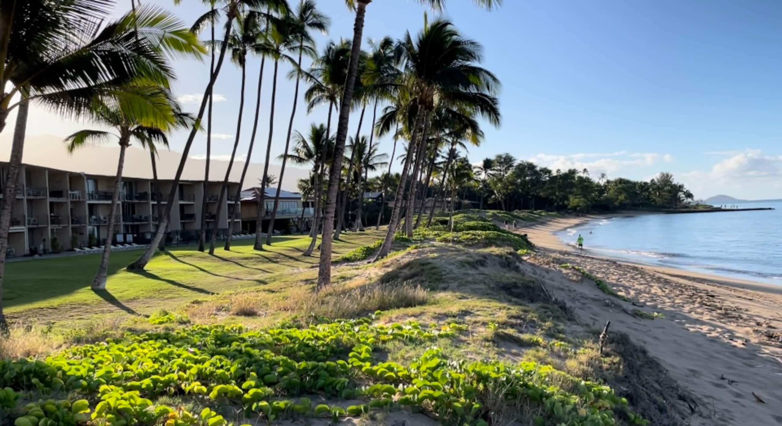 Condo in Kihei · ★5.0 · 1 bedroom · 1 bed · 1 bath - Image 15