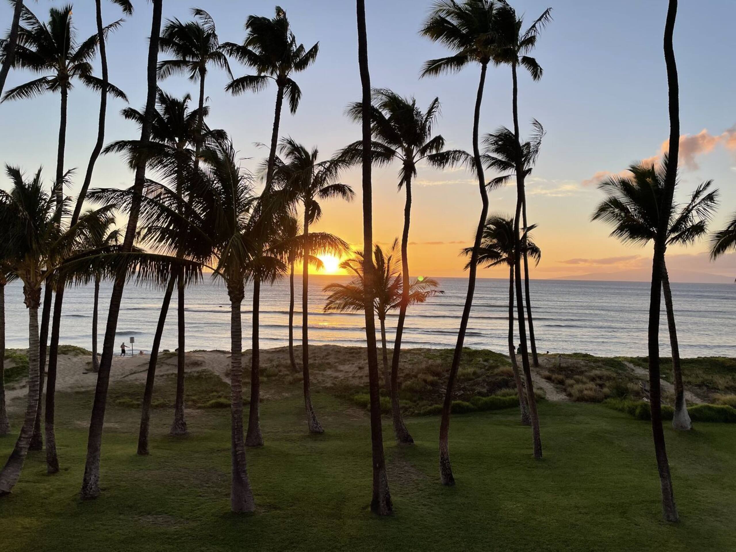 Condo in Kihei · ★5.0 · 1 bedroom · 1 bed · 1 bath - Image 22