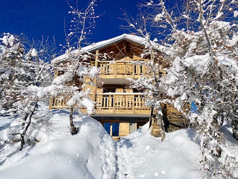 Paradis Perdu Ski In & Quiet chalet 14 people