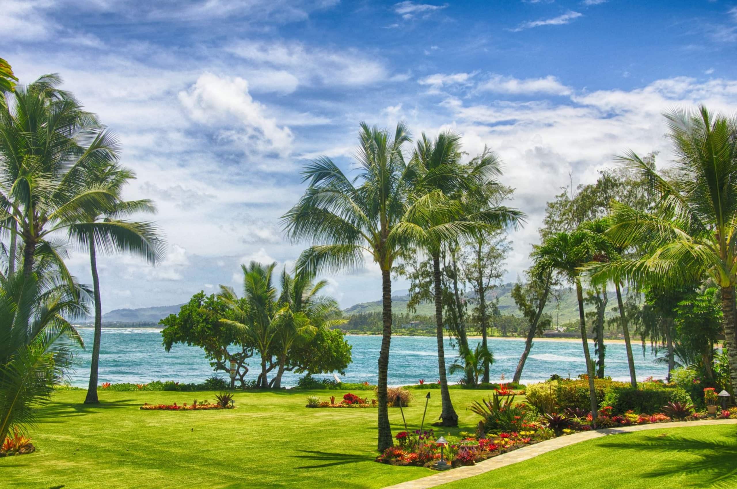 Condo in Kapaa · ★4.92 · 1 bedroom · 2 beds · 1.5 shared baths - Image 1