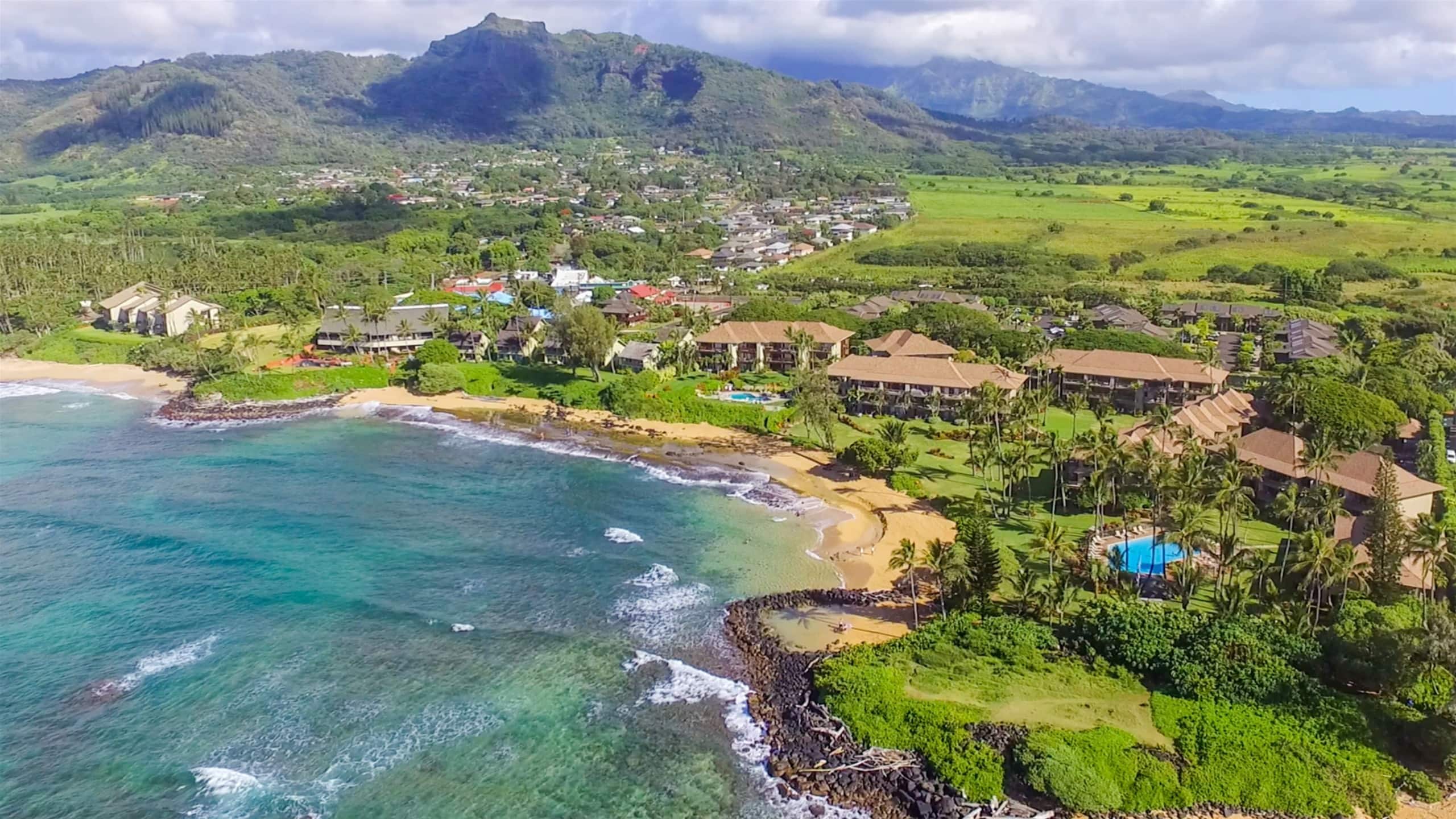 Condo in Kapaa · ★4.92 · 1 bedroom · 2 beds · 1.5 shared baths - Image 16