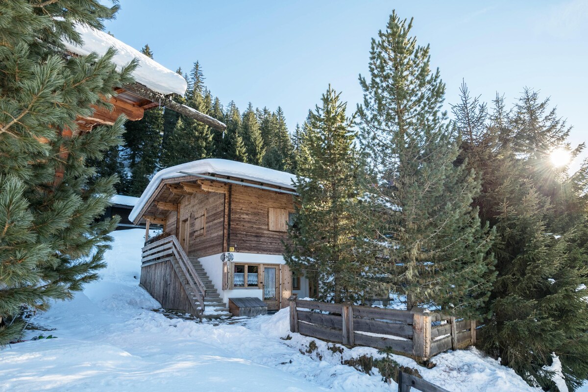 A wooden chalet is nestled among snow-covered trees. The structure features a sloped roof and a staircase leading to the entrance. Snow blankets the ground, enhancing the serene winter atmosphere. Sunlight filters through the surrounding trees, casting soft shadows on the snow.