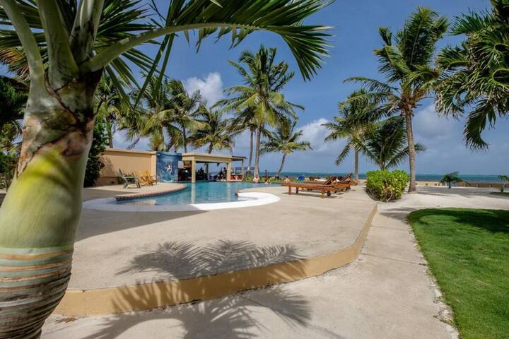 Bermuda Palms 10, beautiful oceanfront condo, pool gallery image 5