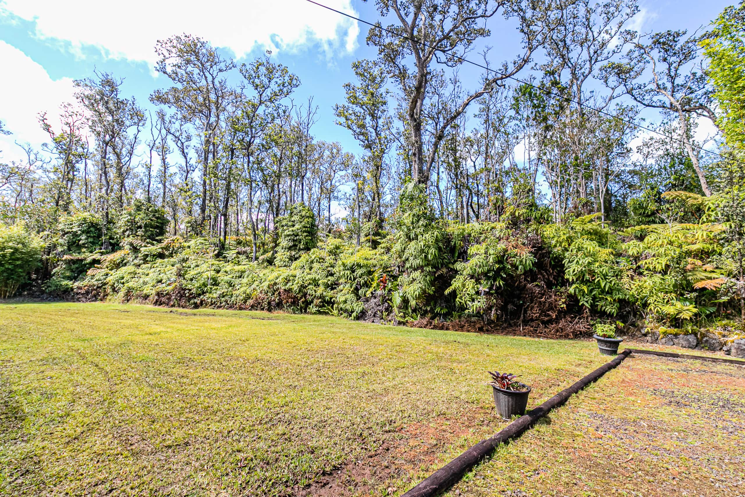 Home in Volcano · ★4.89 · 3 bedrooms · 4 beds · 2 baths - Image 39