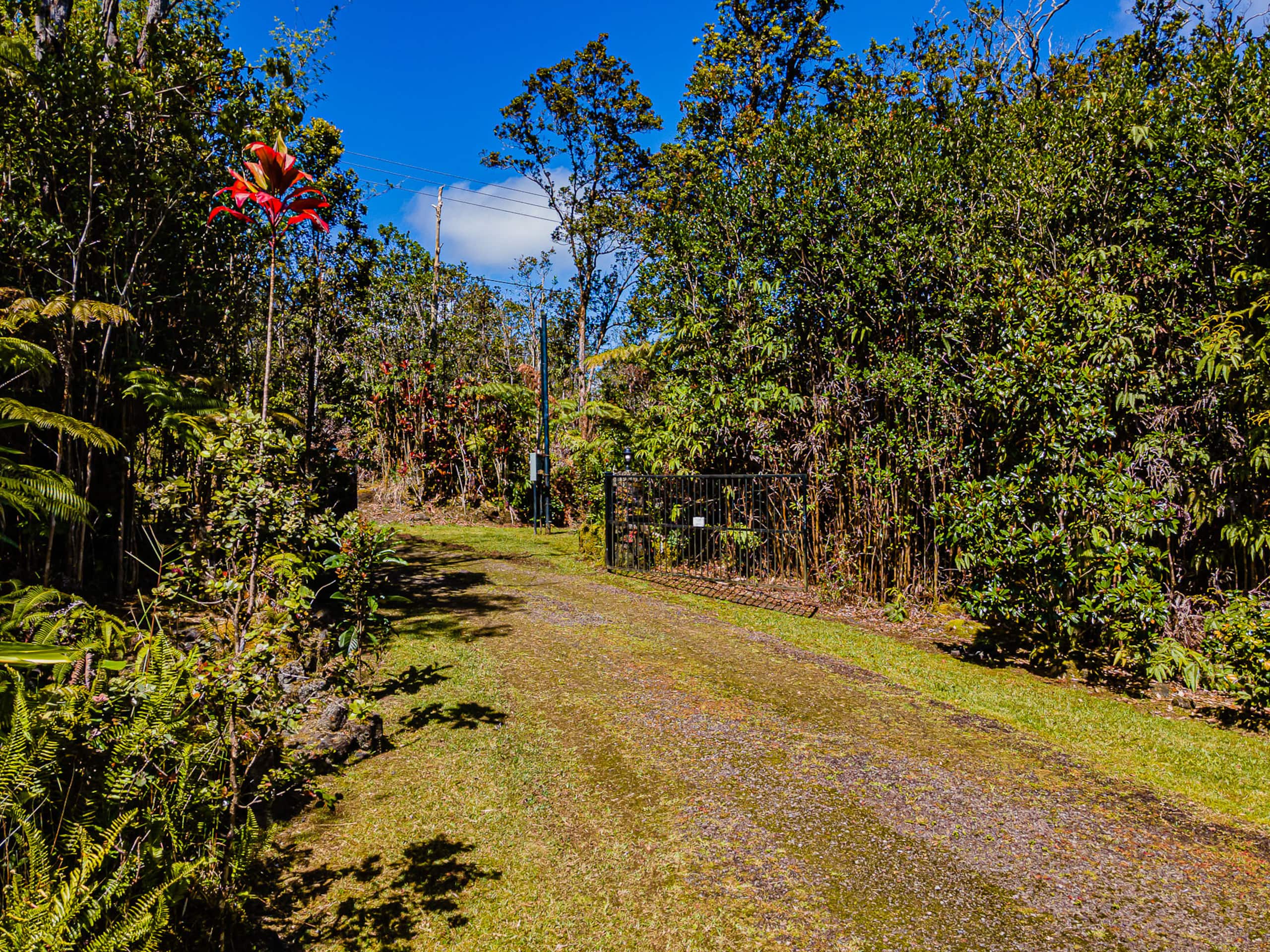 Home in Volcano · ★4.89 · 3 bedrooms · 4 beds · 2 baths - Image 40
