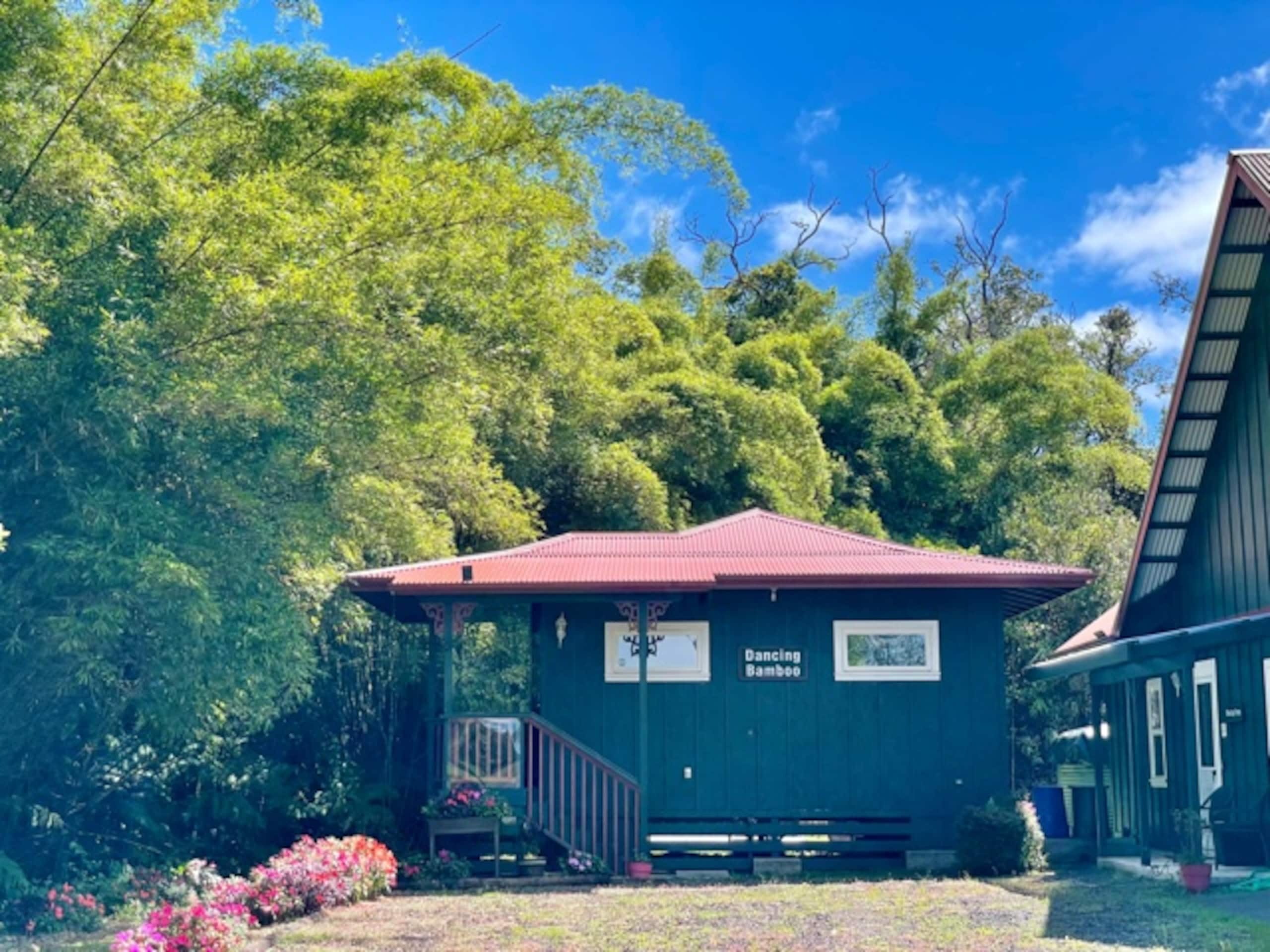 Dancing Bamboo Cottage Cozy Getaway Near HVNP - Photo 21