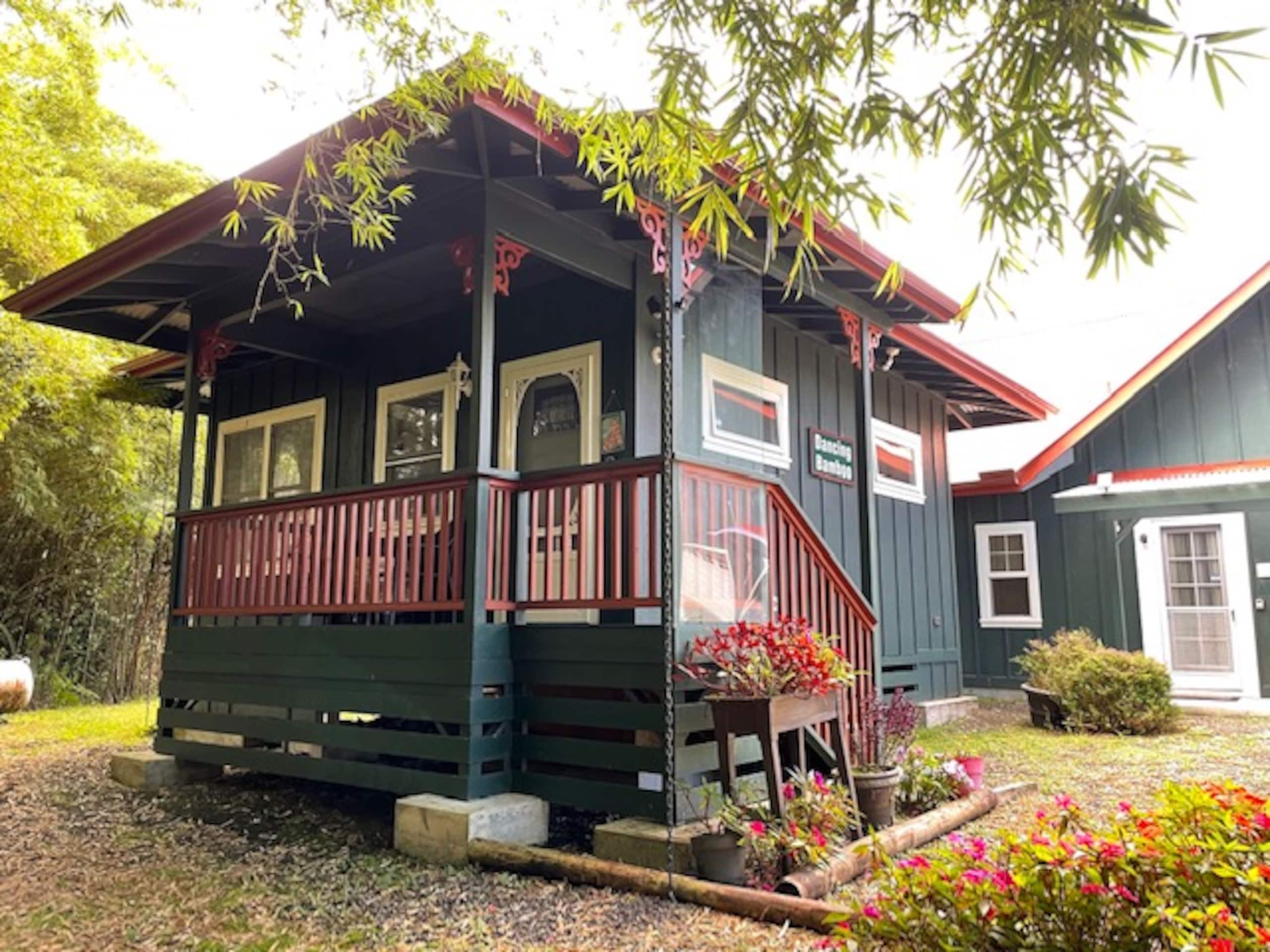 Dancing Bamboo Cottage Cozy Getaway Near HVNP - Photo 4