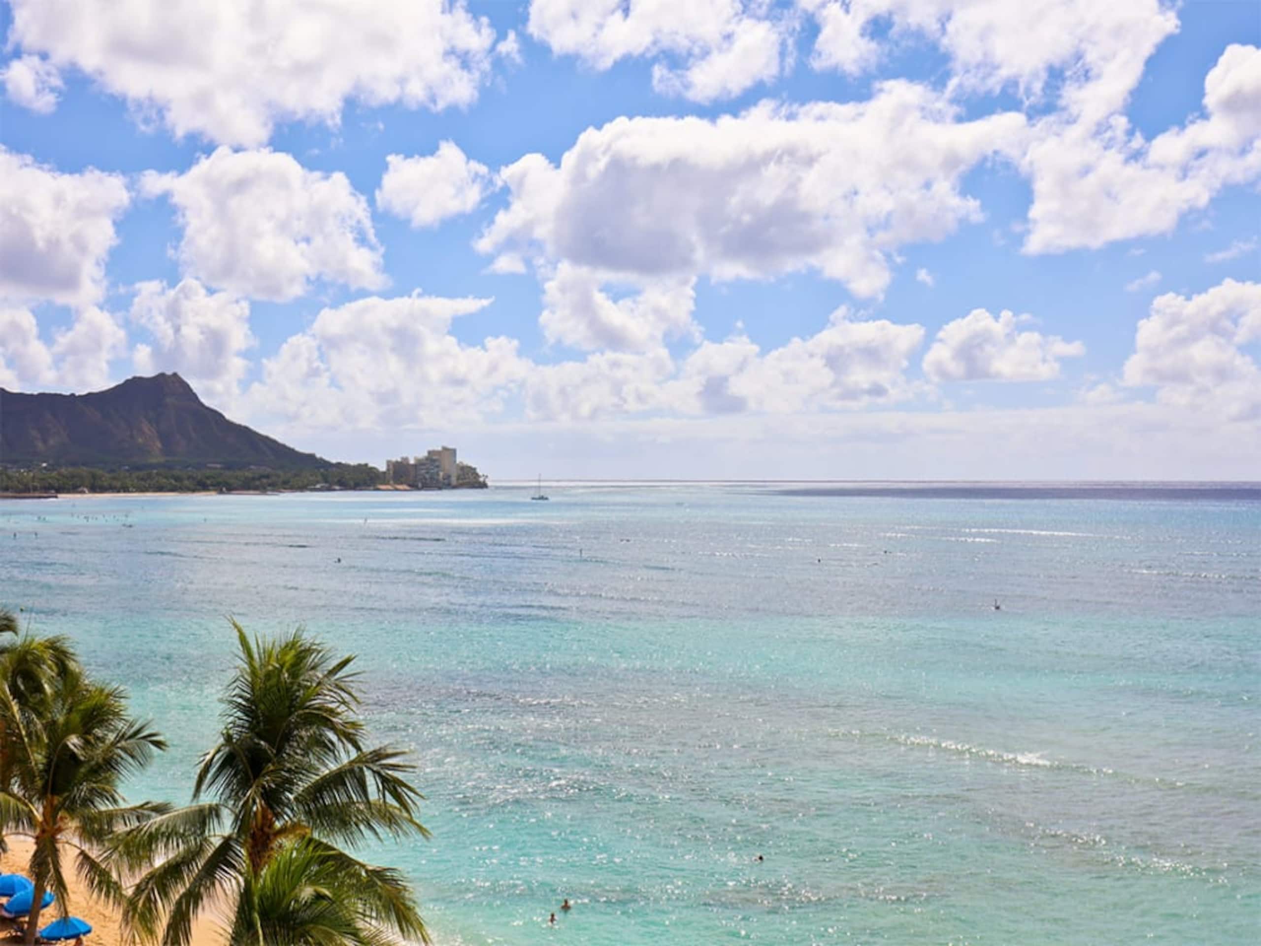 Condo in Honolulu · ★4.33 · Studio · 1 bed · 1 shared bath - Image 43