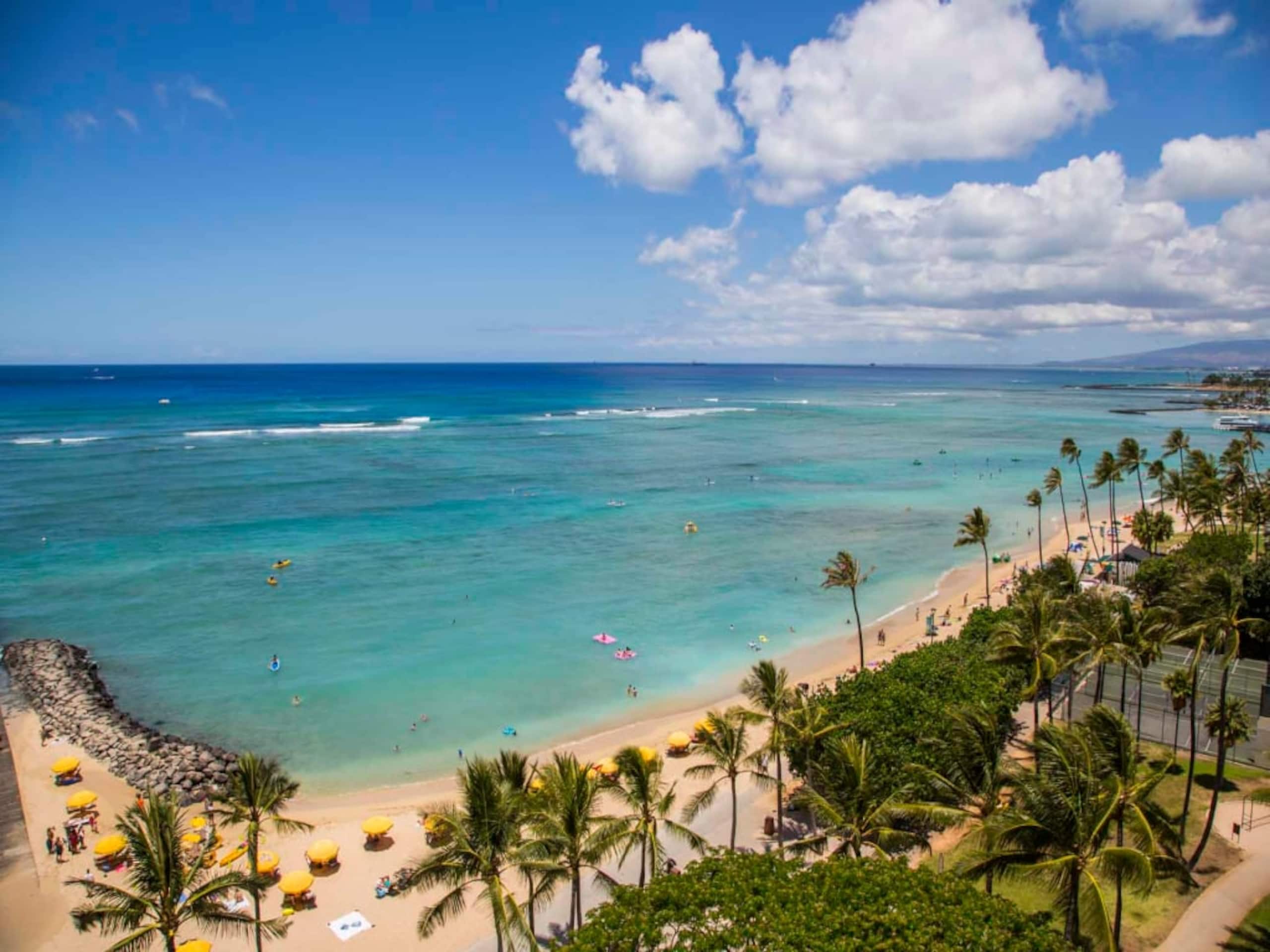 Condo in Honolulu · ★5.0 · Studio · 1 bed · 1 shared bath - Image 22