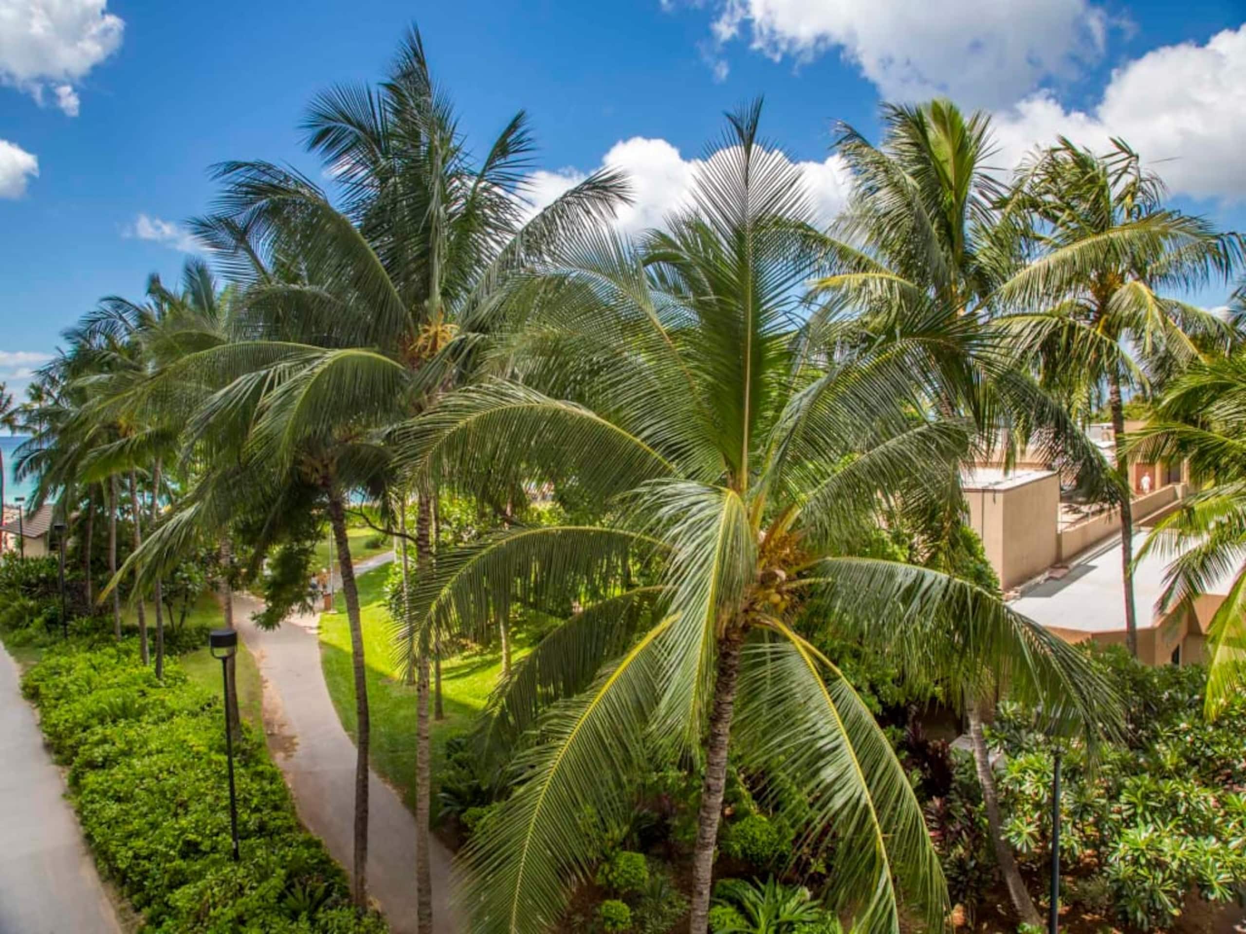 Condo in Honolulu · ★4.8 · 2 bedrooms · 3 beds · 1 private bath - Image 30