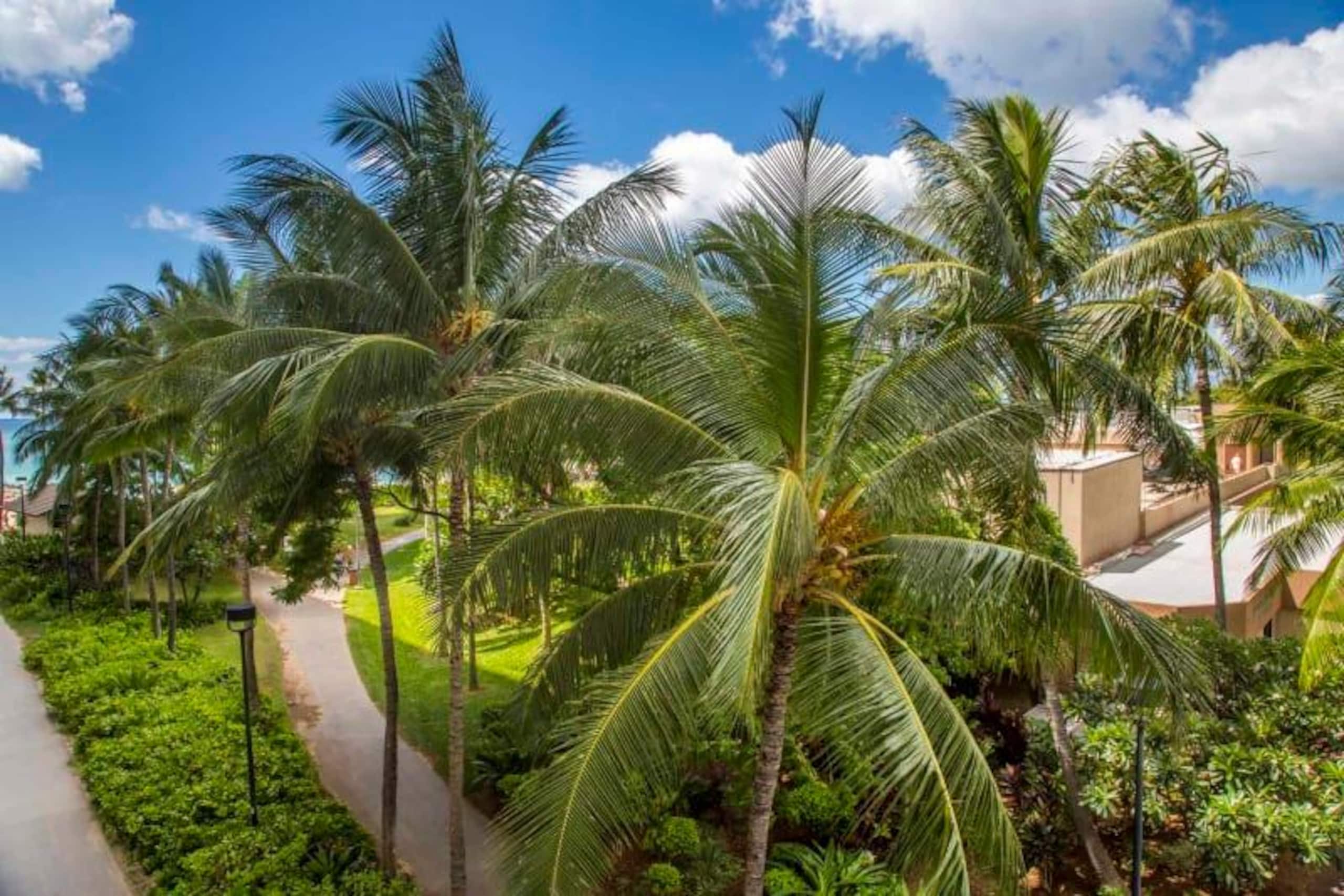 Condo in Honolulu · ★4.8 · 2 bedrooms · 3 beds · 1 private bath - Image 27