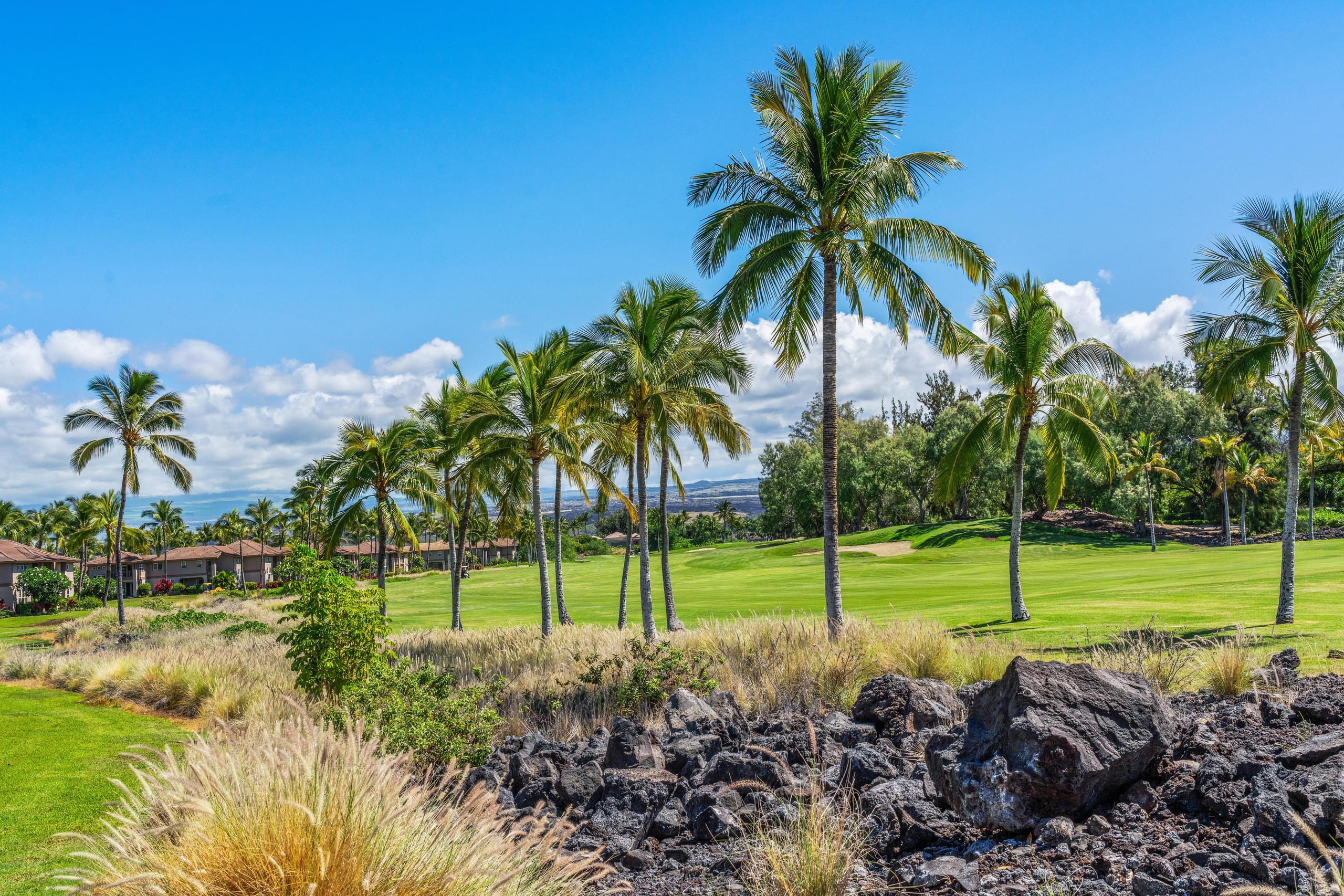 Hilton Pool Pass for 2026-Waikoloa Golf - Photo 39