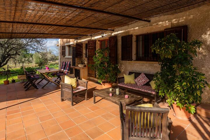 Cocotte gallery image 5