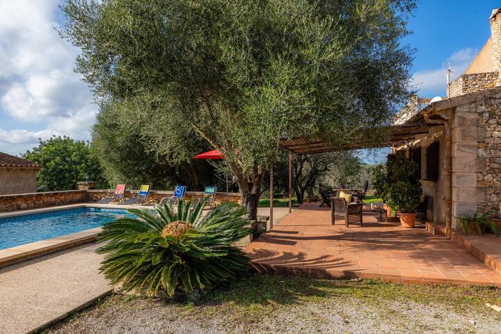 Cocotte gallery image 3