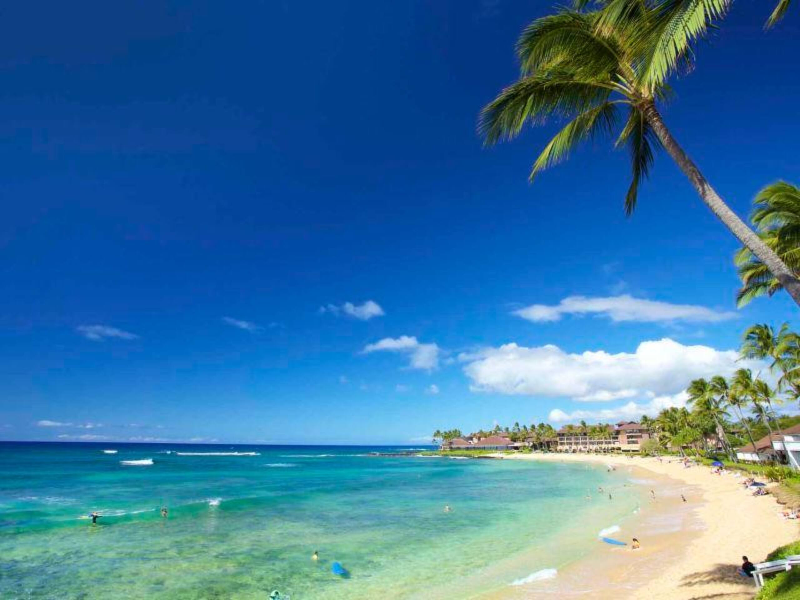 Condo in Koloa · ★4.67 · 1 bedroom · 2 beds · 1 bath - Photo 21