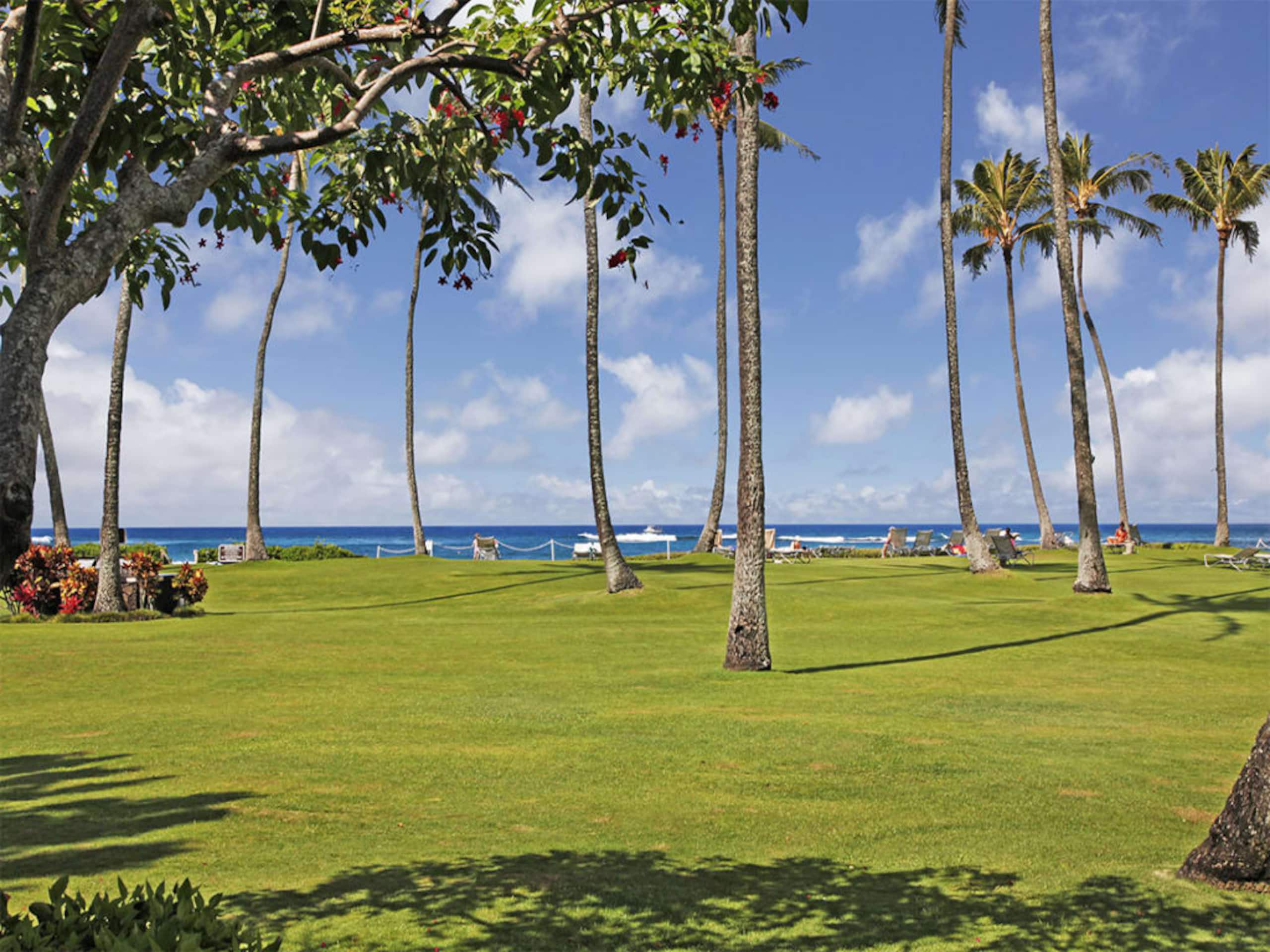 Condo in Koloa · ★4.67 · Studio · 2 beds · No bathroom - Photo 29