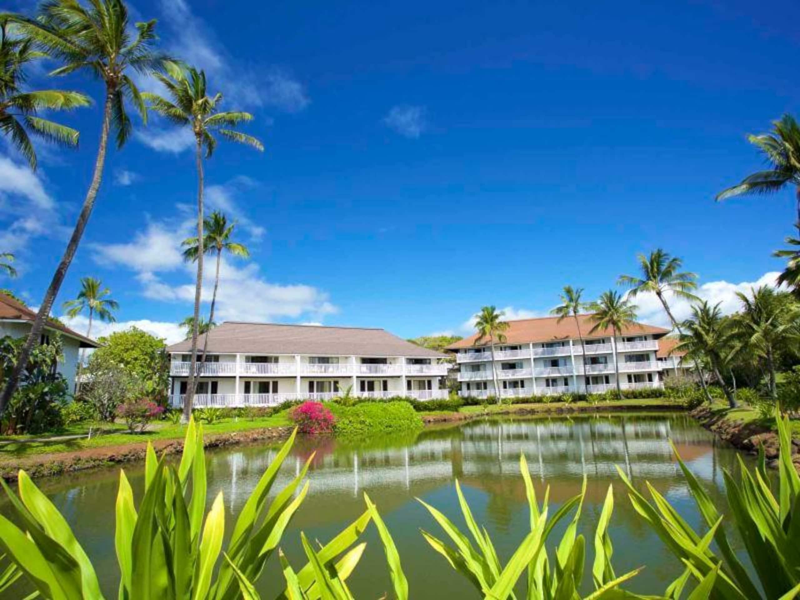 Condo in Koloa · ★4.85 · 1 bedroom · 1 bed · 1 private bath - Image 23