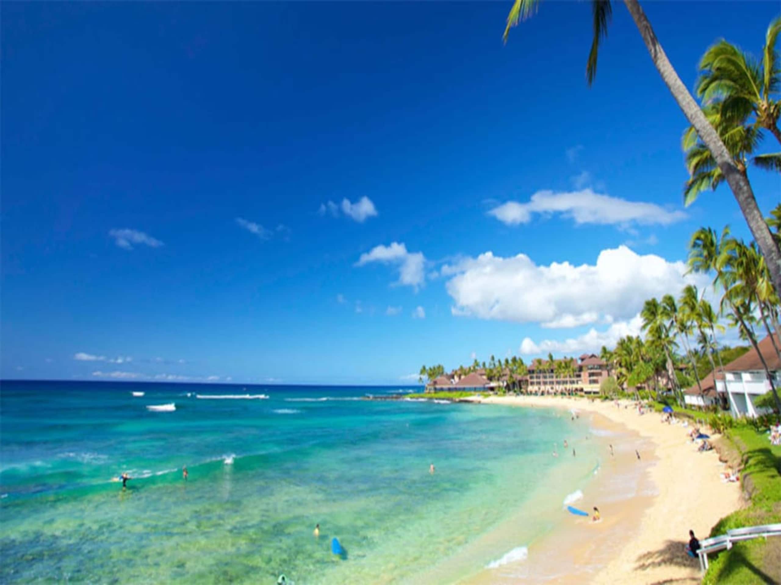 Condo in Koloa · ★4.85 · 1 bedroom · 1 bed · 1 private bath - Image 62