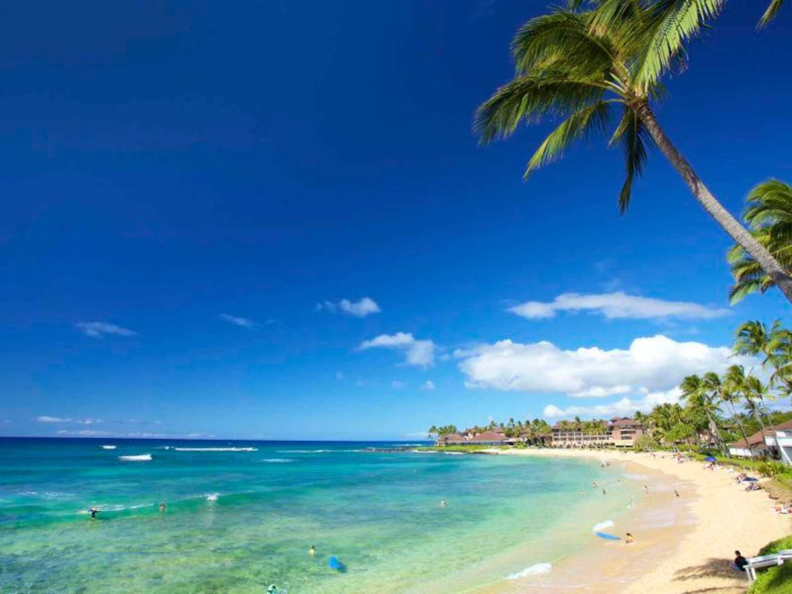 Condo in Koloa · ★4.85 · 1 bedroom · 1 bed · 1 private bath - Image 20